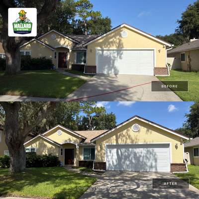 Residential Exterior House Wash and Roof Cleaning in Altamonte Springs