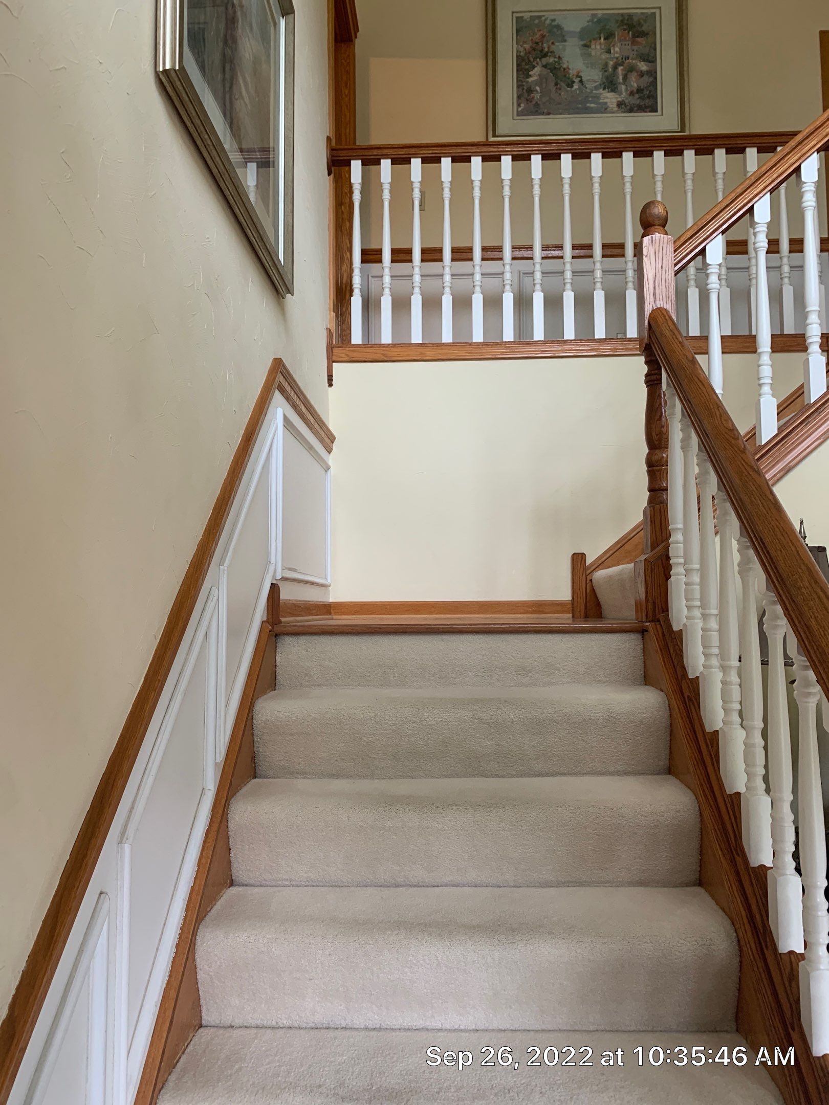 Natural to Freshly Painted by Best Buy Painting