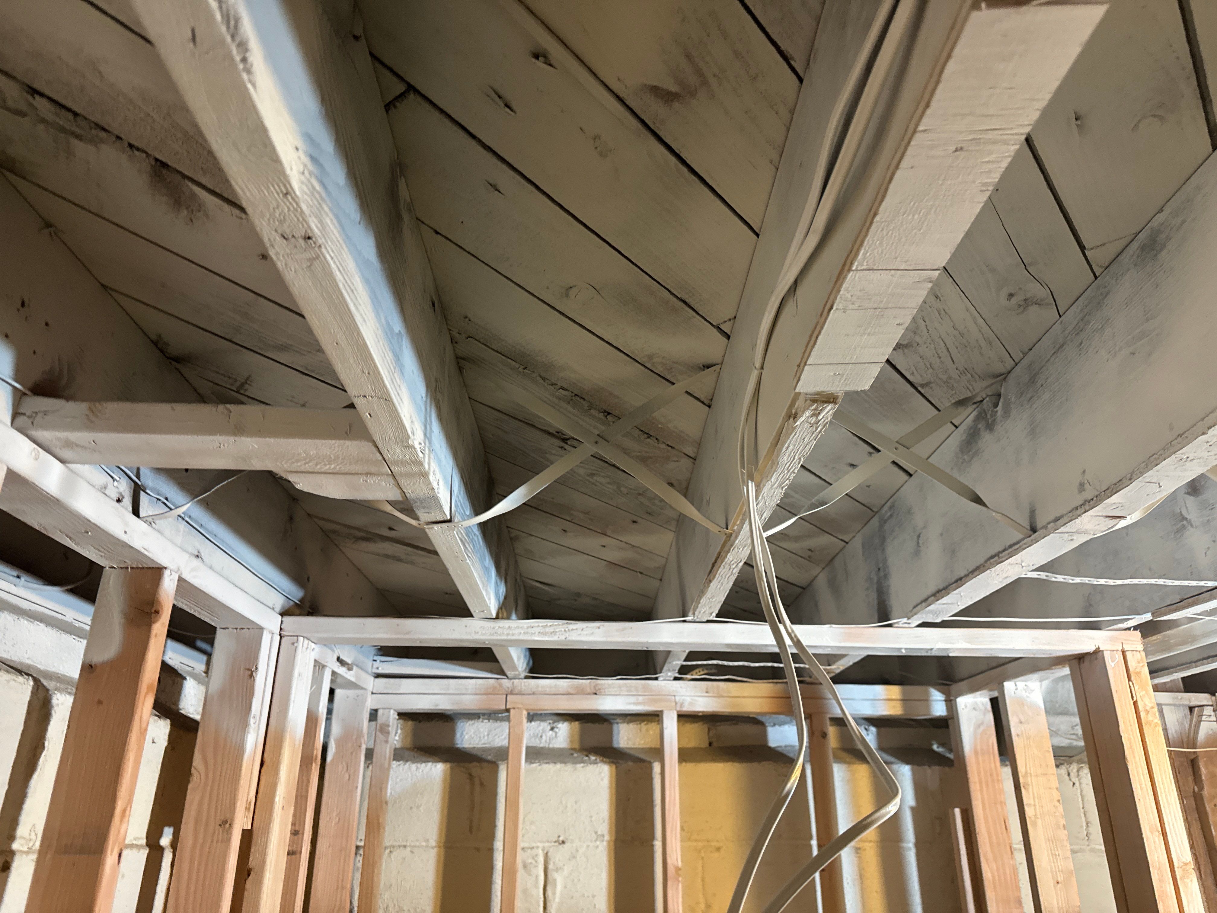 Interior French Drain & Mold Remediation Little Falls NJ by Pure Service Pro, LLC 