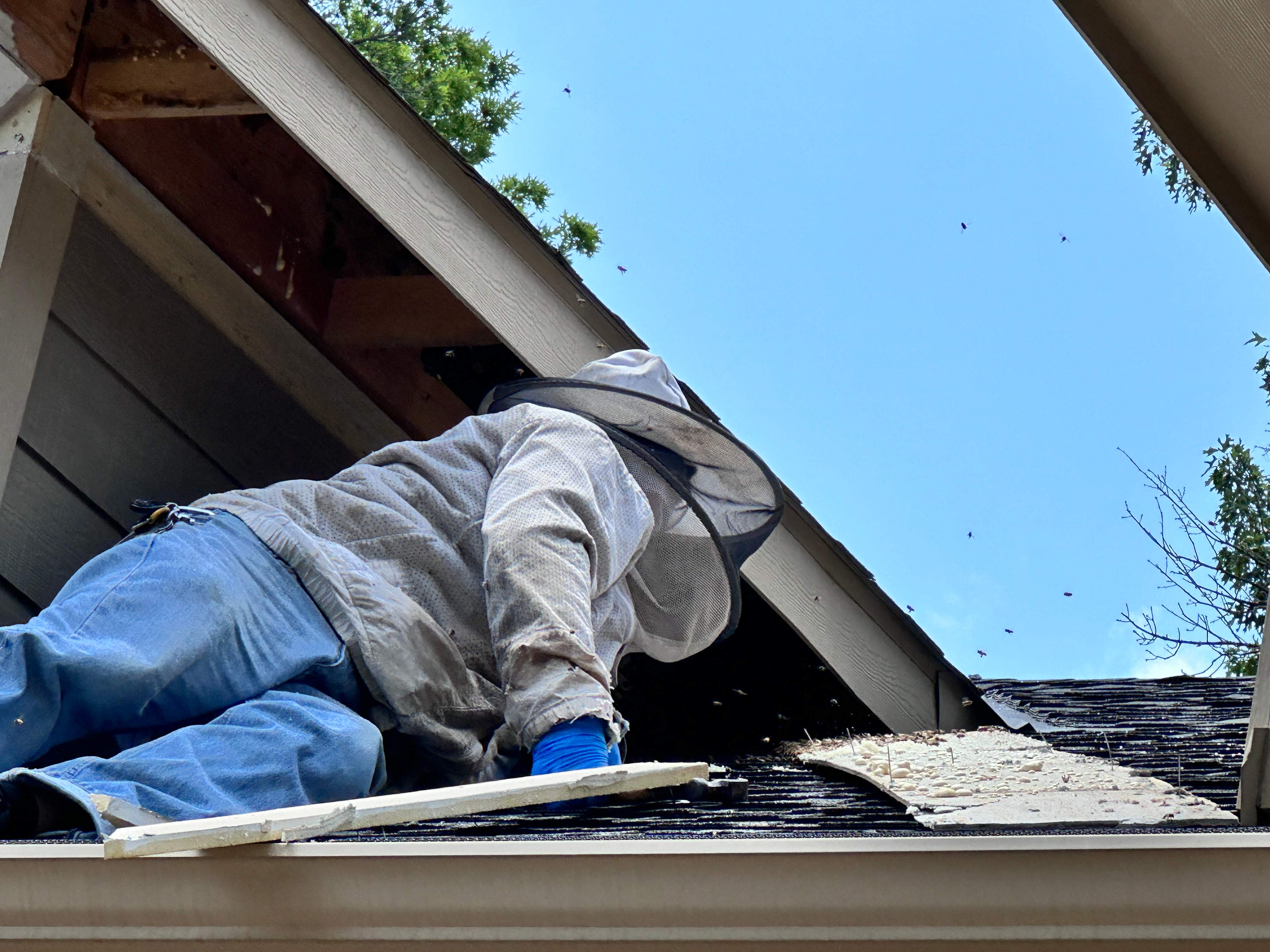 Roof Dormer by Rockwall Honey Bee Company