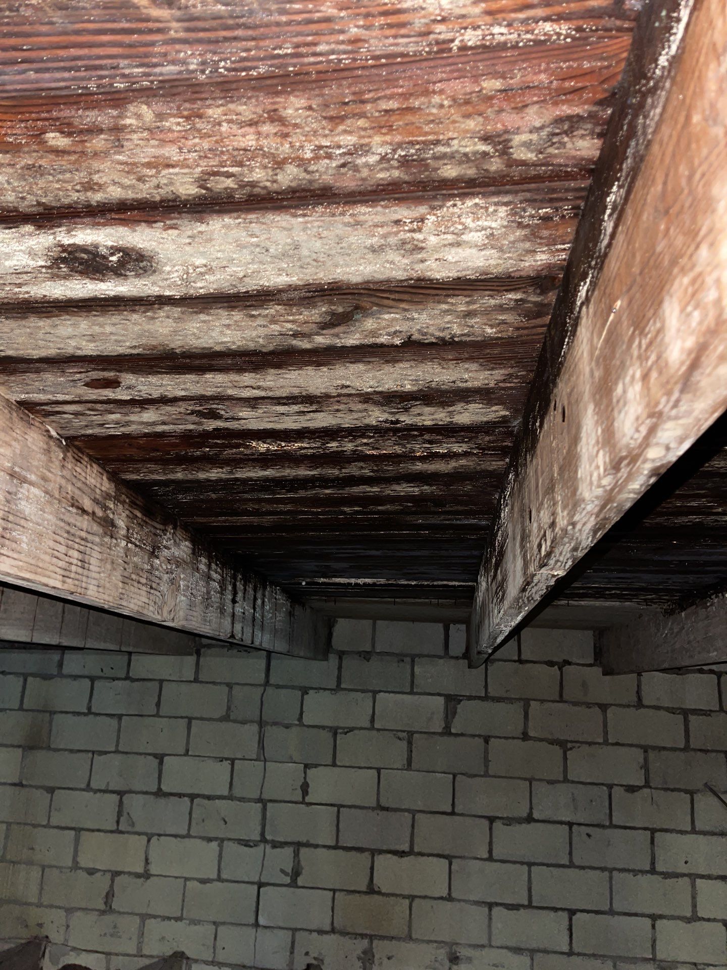 truses repair and new deking  by Xtreme interior company LLC