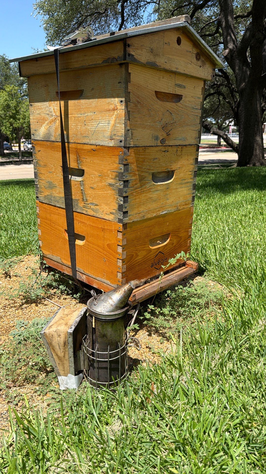 Addison by Rockwall Honey Bee Company