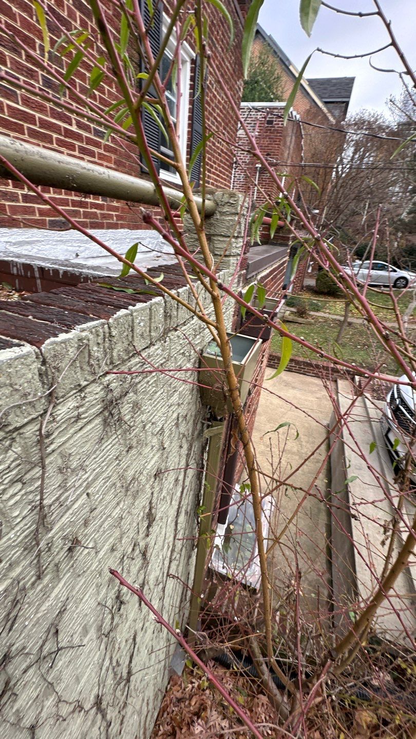 Arlington Flat TPO Roof Installation by RM Banning, Inc.