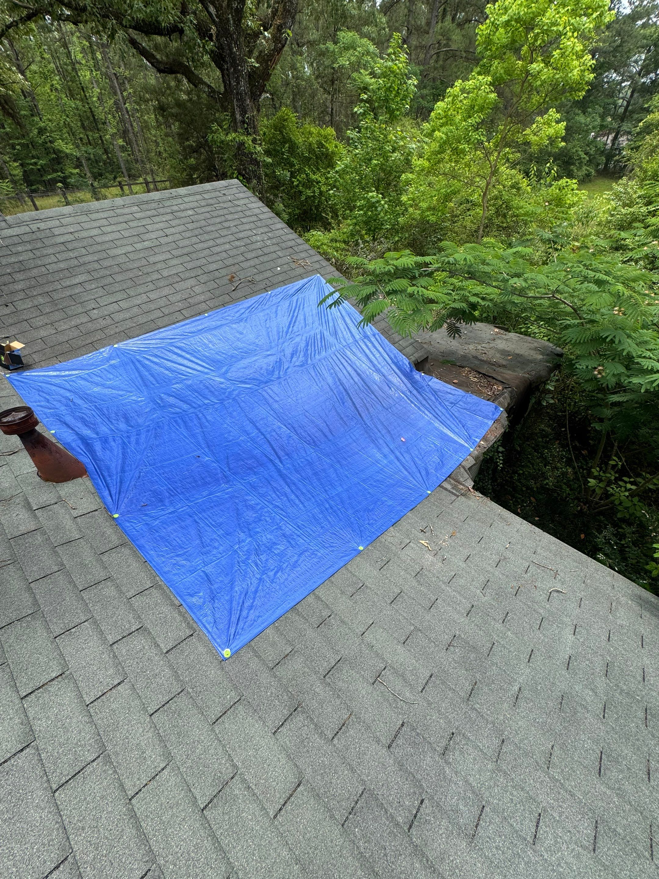 The Tiny Hammer Job — Carriere, MS Storm Response & Full Roof Replacement by Frontline Roofing