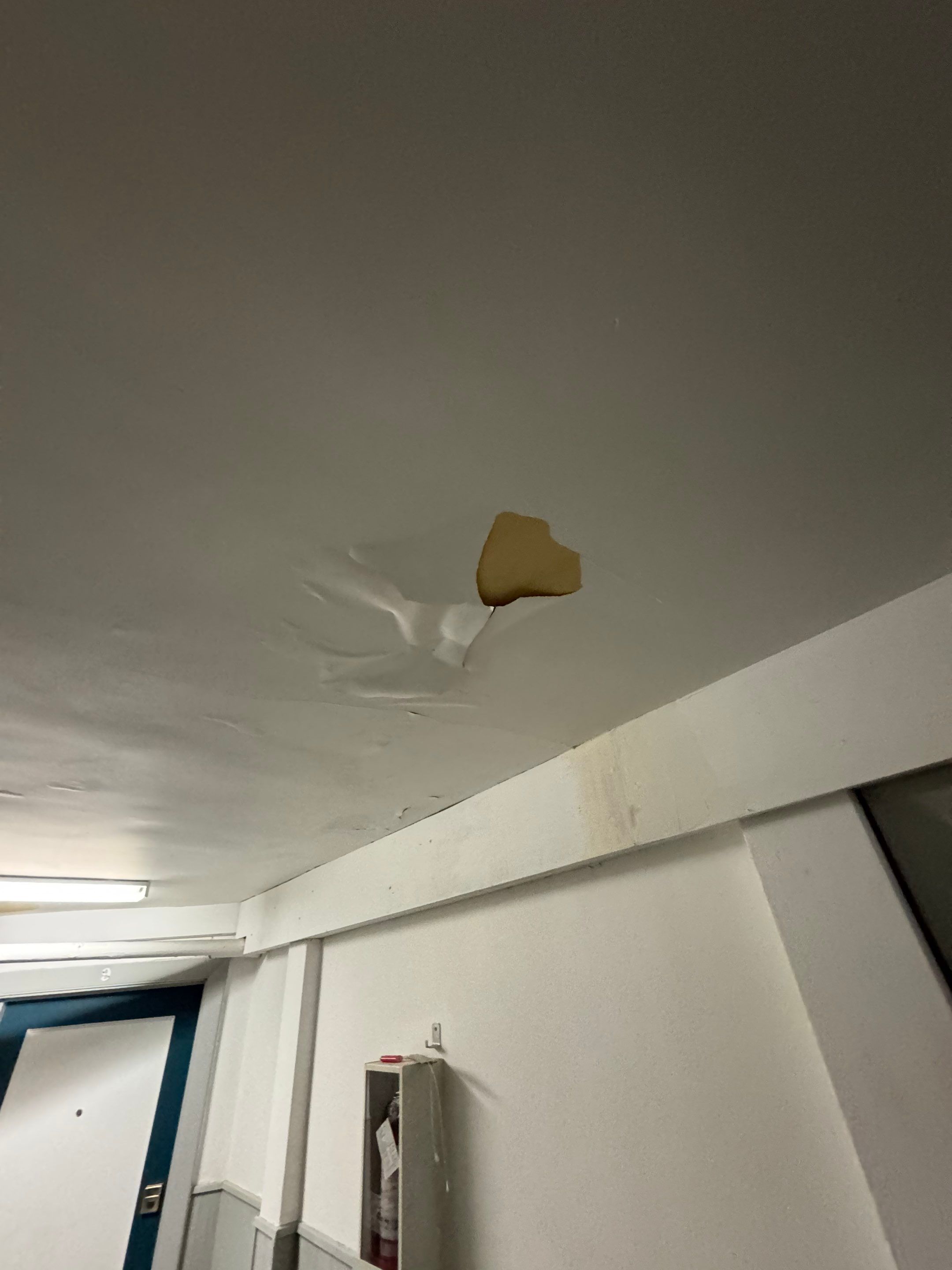 Flood Restoration by YVR Construction Group