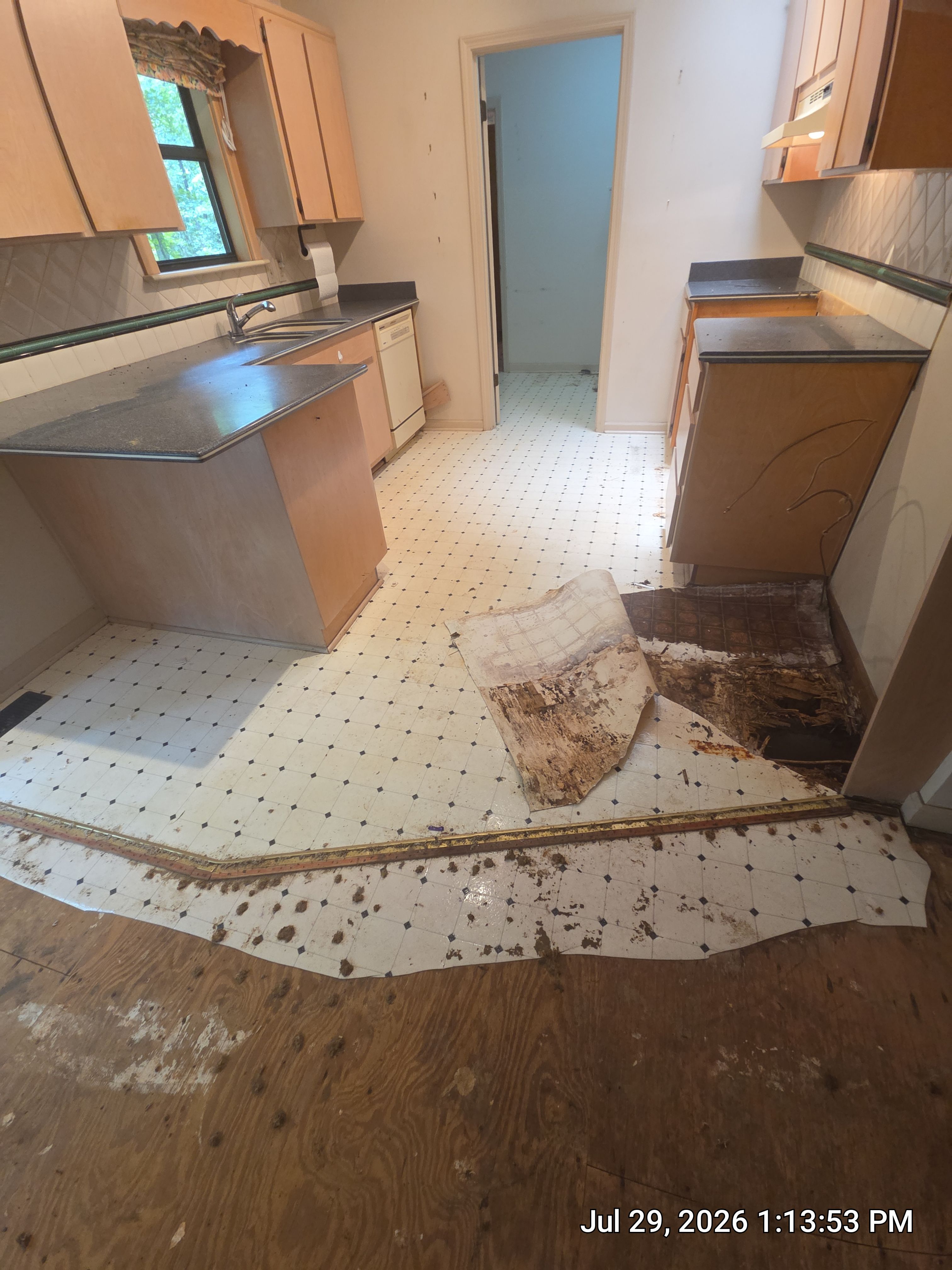 Full Home Subfloor Restoration and Luxury Vinyl Flooring Installation by Flooring Xpress CO