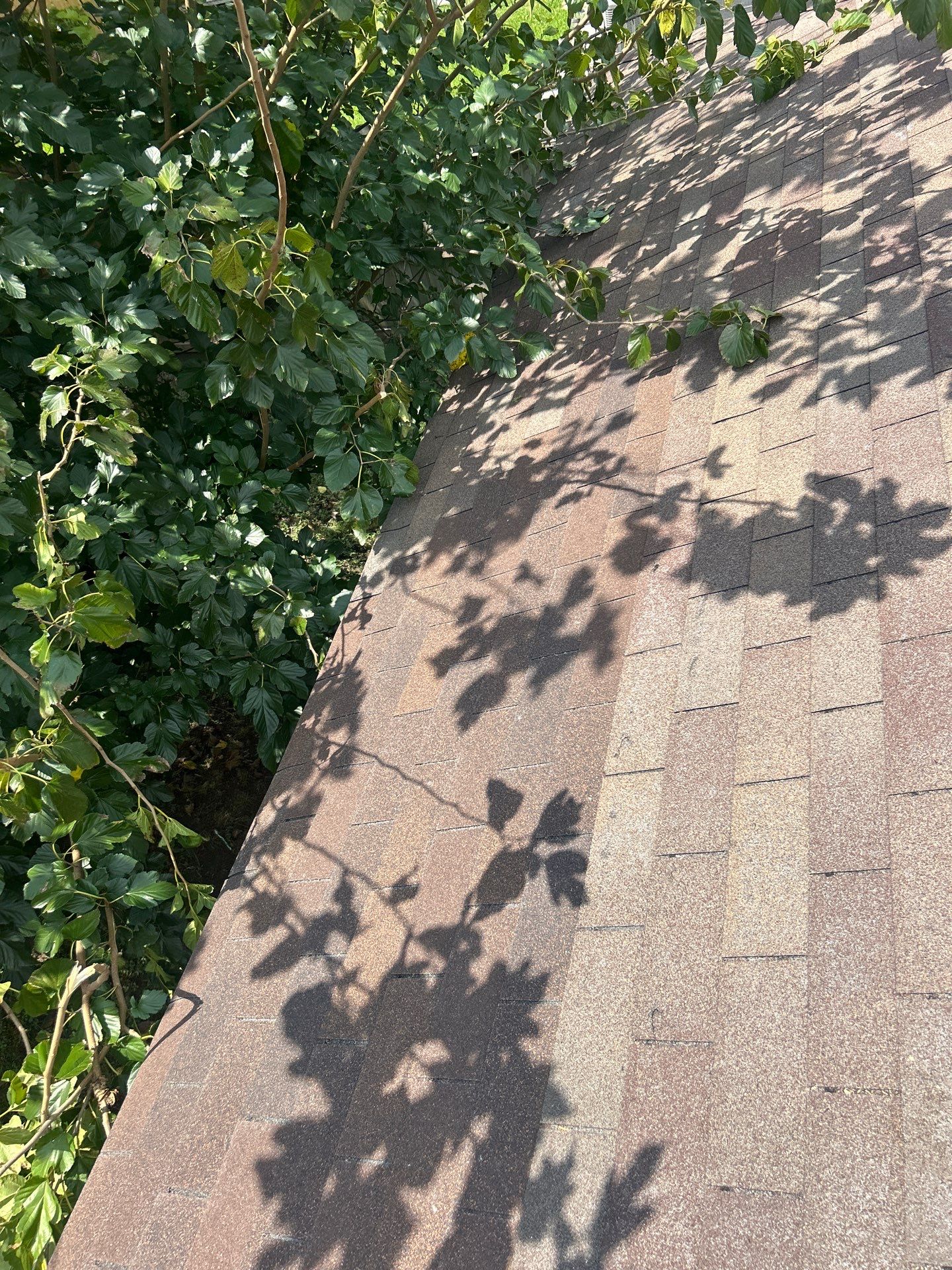 Roof Repair Houston by Roof Repair Services LLC
