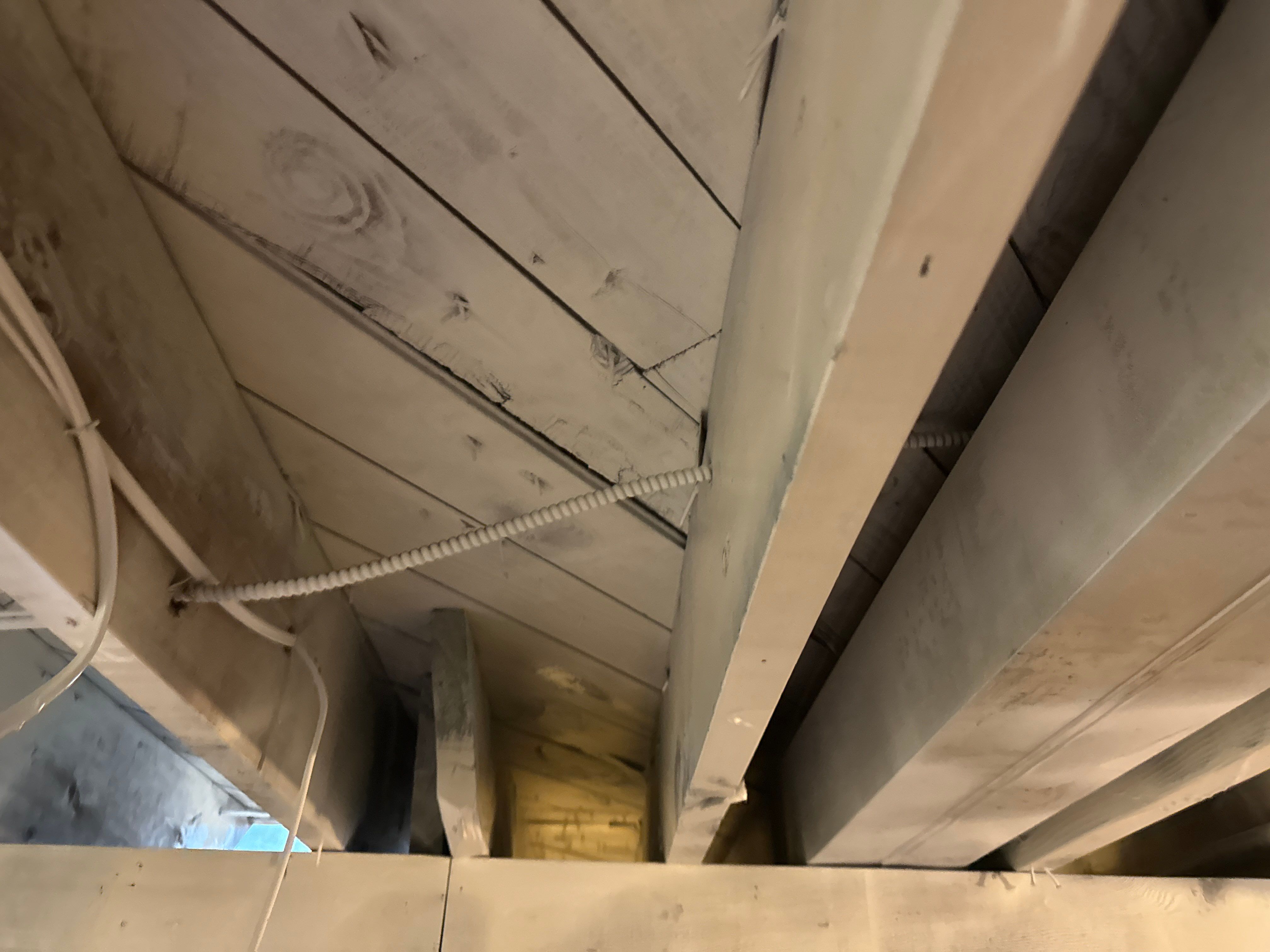 Interior French Drain & Mold Remediation Little Falls NJ by Pure Service Pro, LLC 