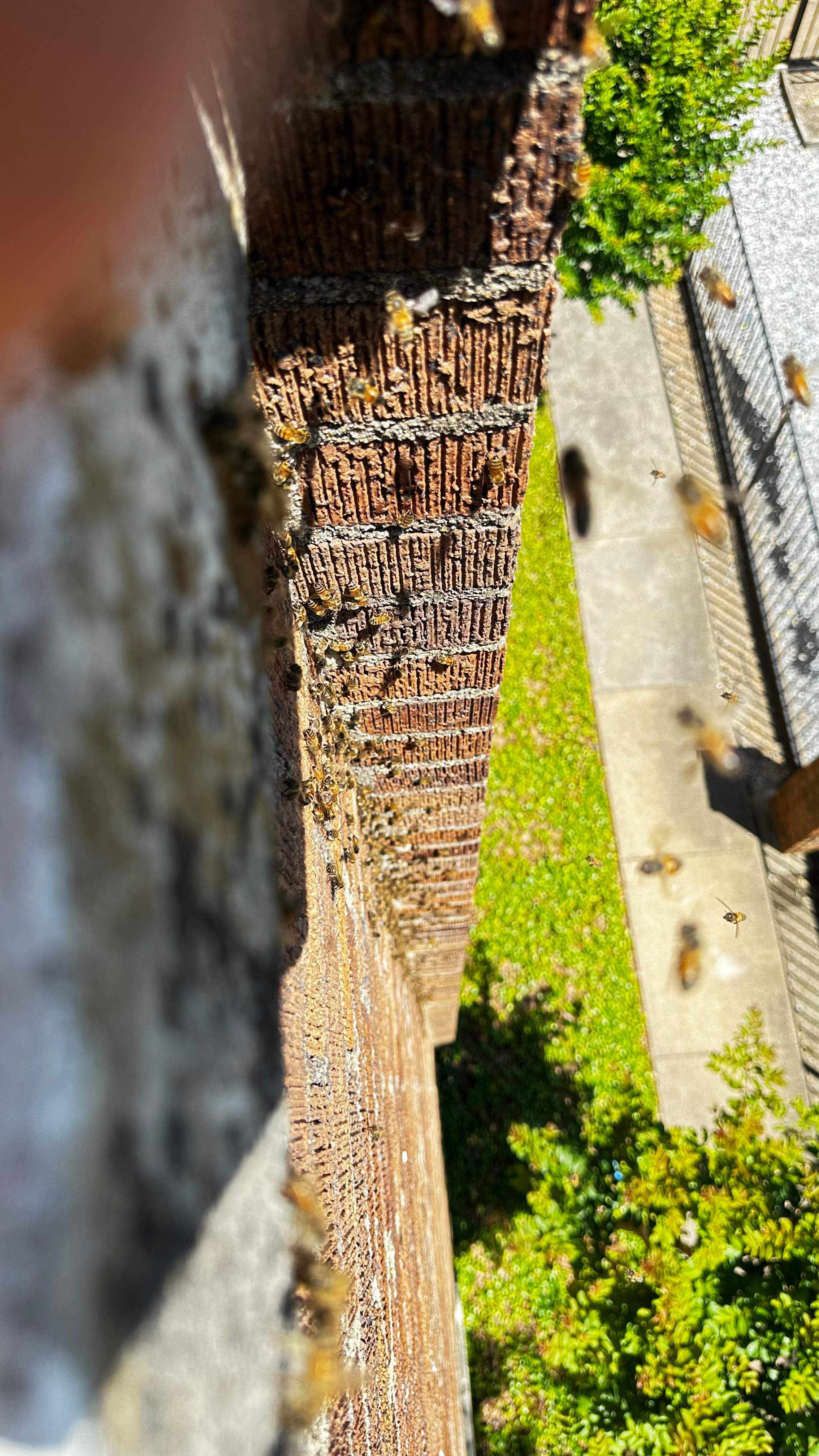 Church by Rockwall Honey Bee Company