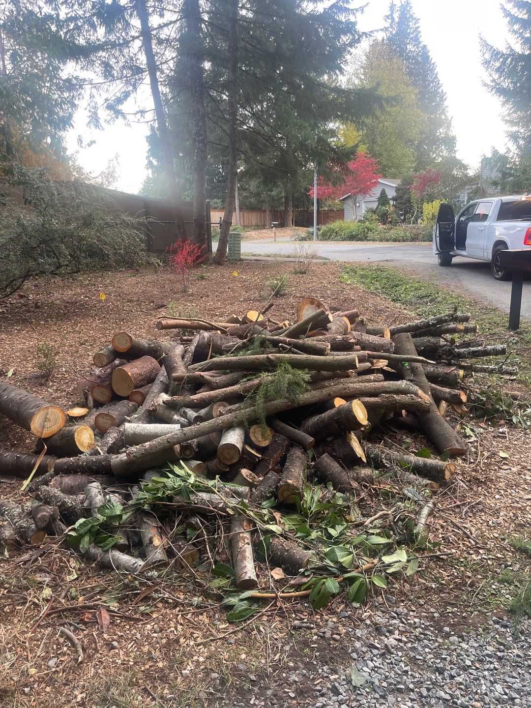 Tree Removal using Tree Removal by Mike Jones & Sons Tree Service LLC 