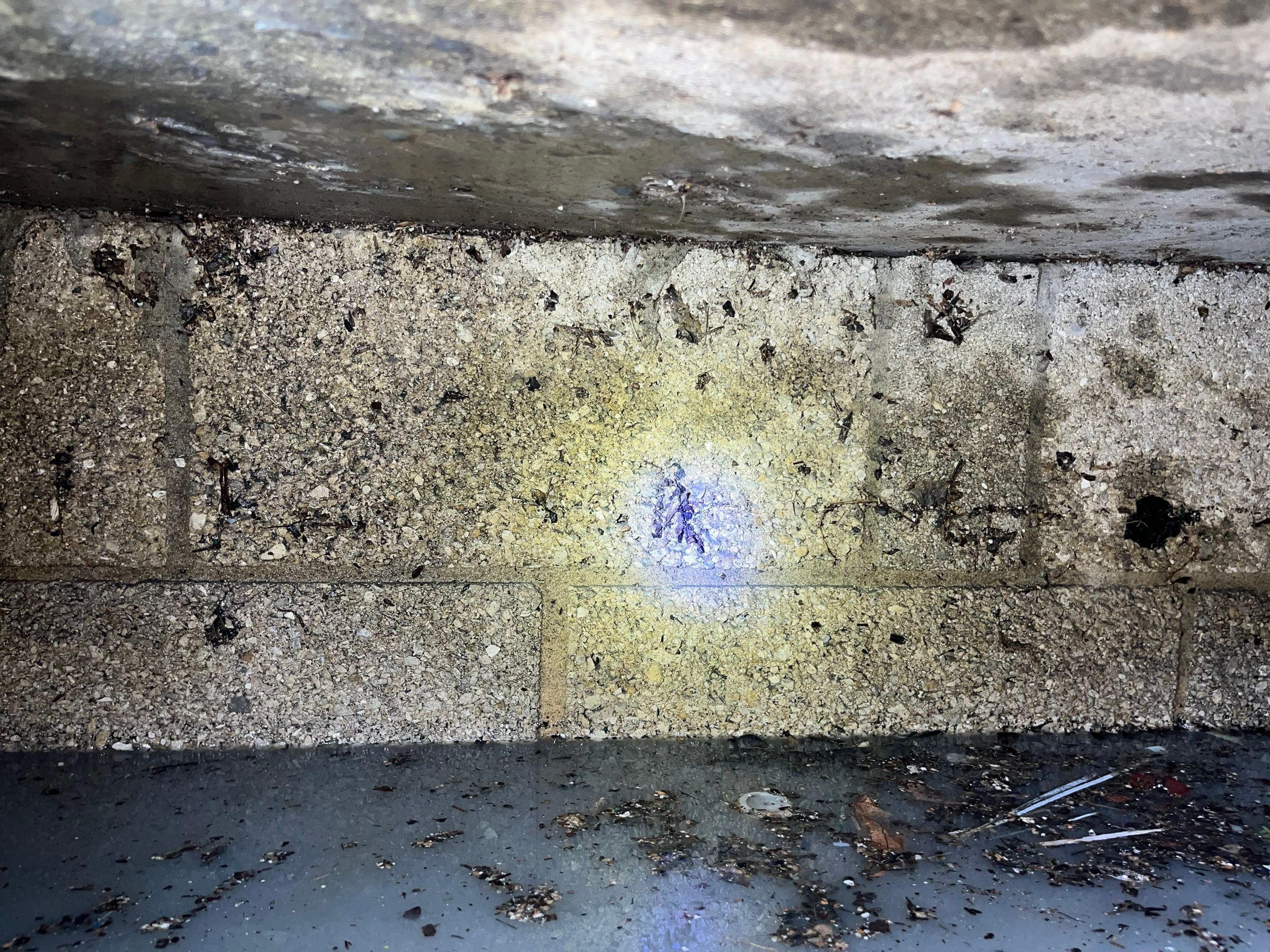 Condo Storm Water System Cleaning and Maintenance After Hurricane Ian by APS Power & Water