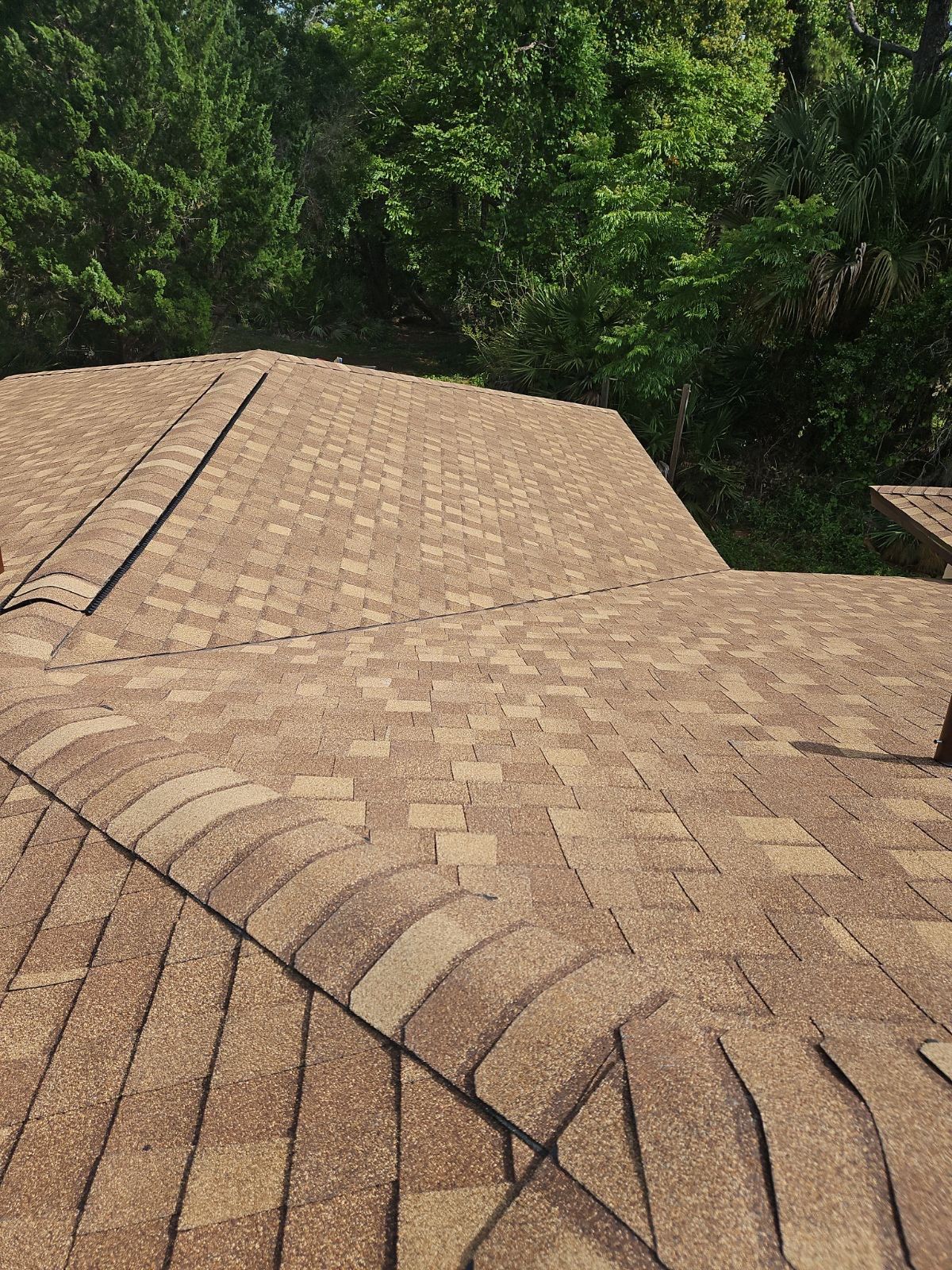 Residential ReRoof and Structural Repair Following Tree Damage in Oviedo by Tip Top Roofing Co., Inc.