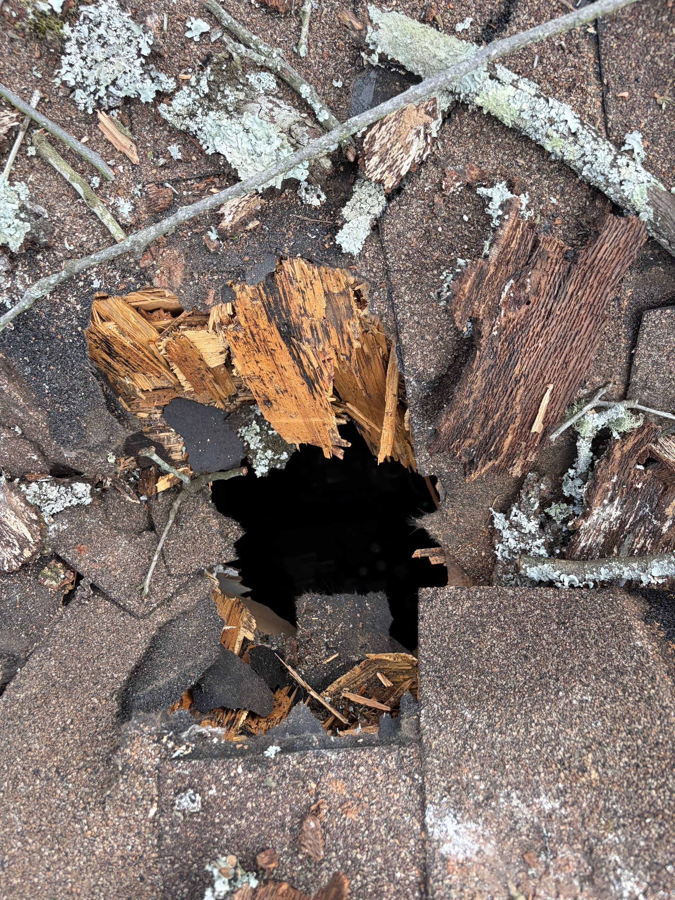 Full Roof Replacement and Storm Damage Restoration in Hot Springs by Temple Roofing and Exteriors