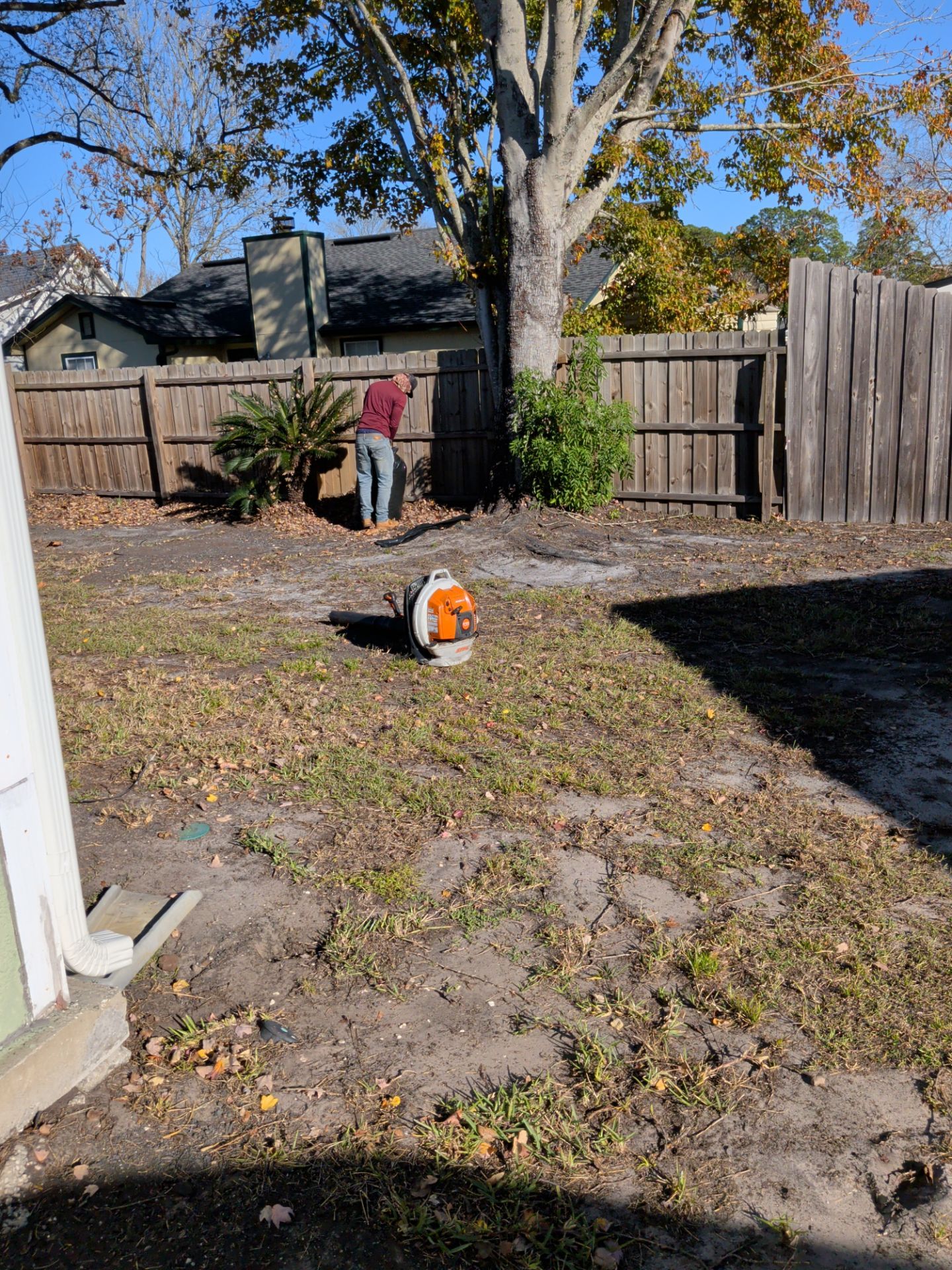 Residential Leaf Removal Service — Westside Jacksonville by Harmoni Home Services