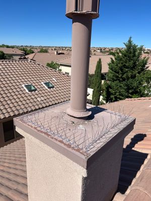 Bird Deterrent Installation in Bernalillo on concrete tile roof.