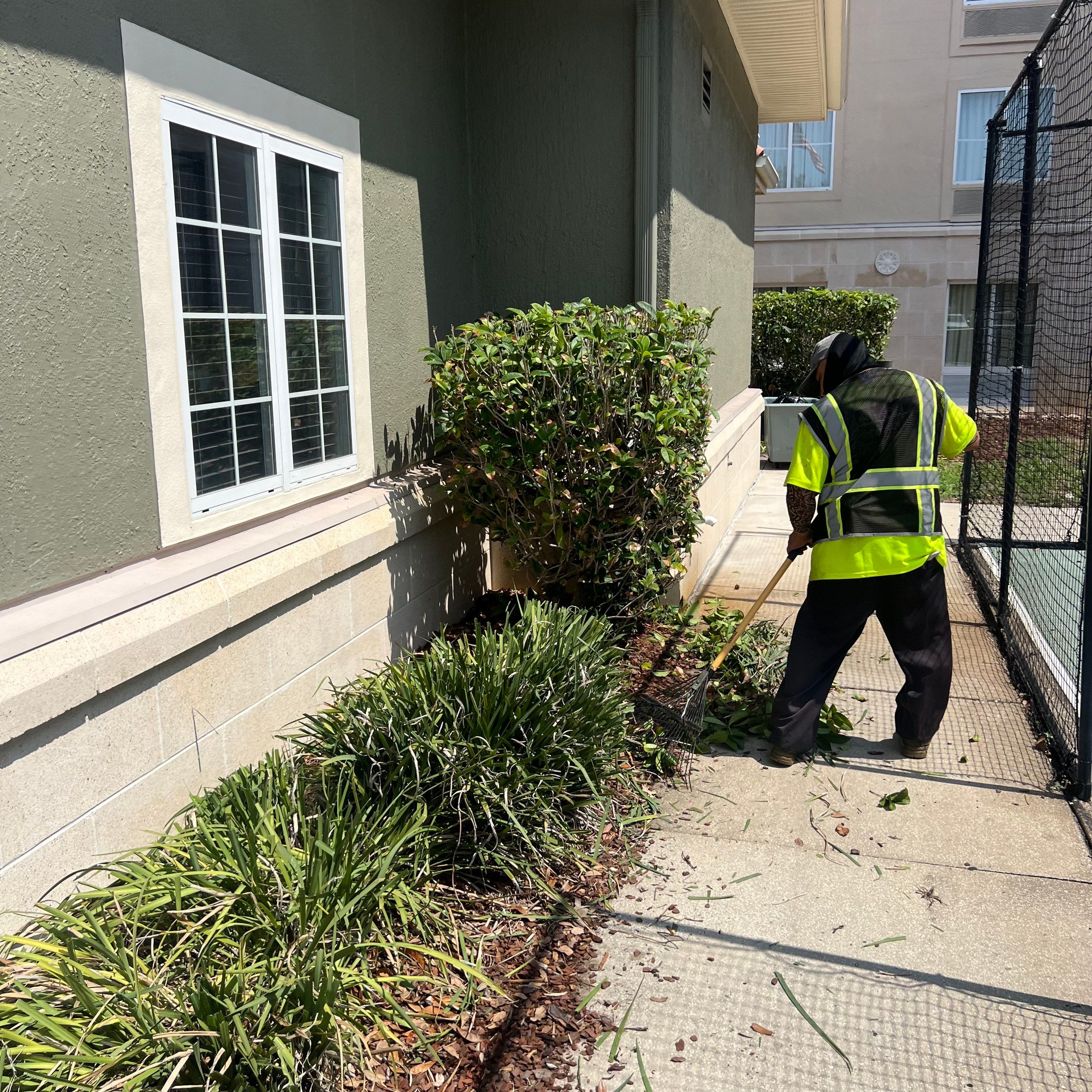 Homewood Suites | Tree Service by ProGreen Services