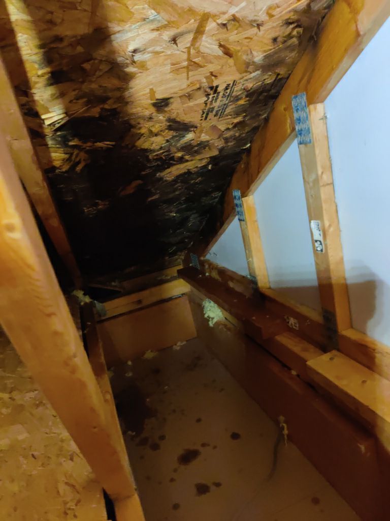 Mold Remediation Cleanup in Attic by Accountable Home Services