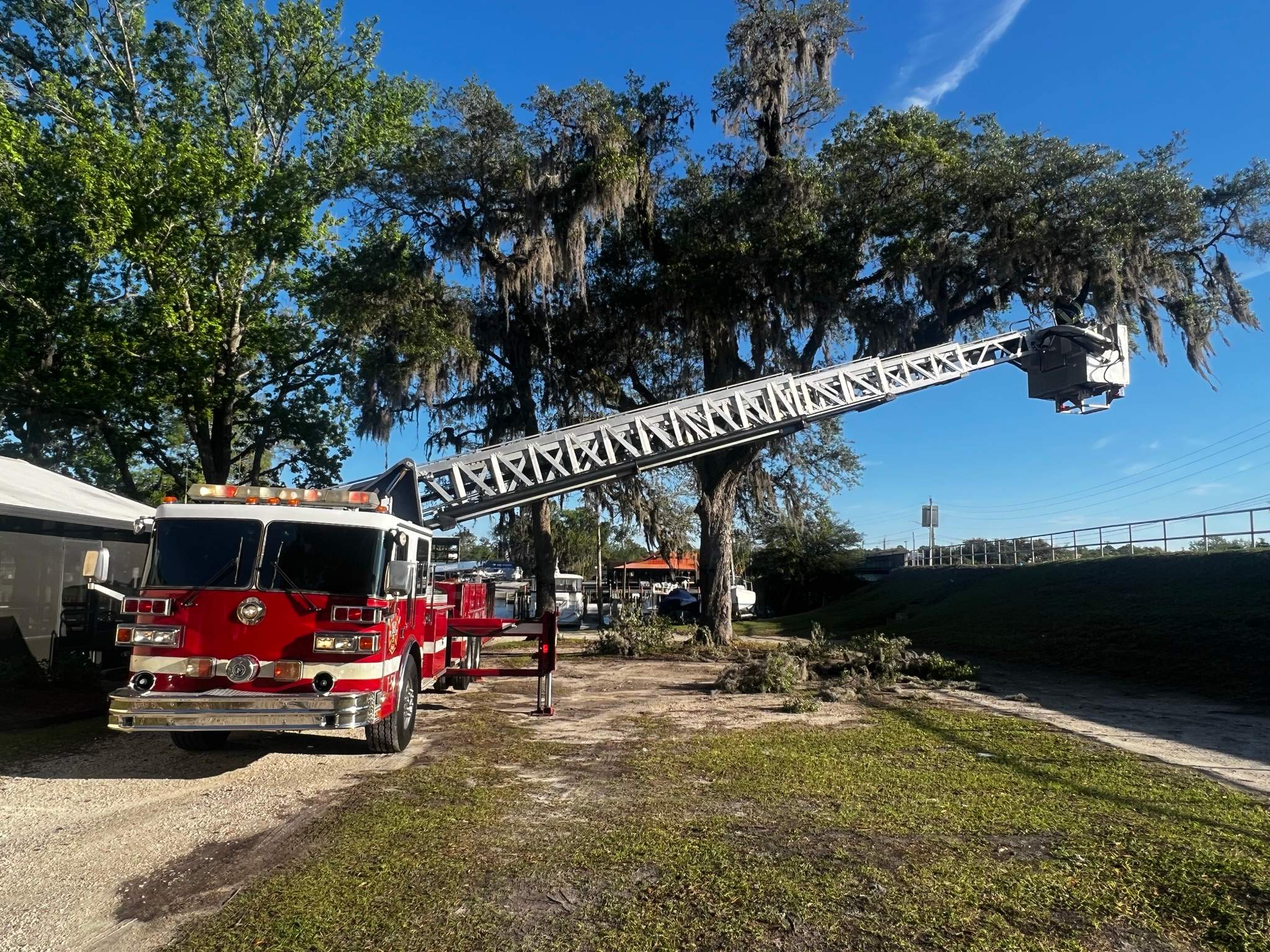 Tree Work | Florida Gun & Tackle by ProGreen Services