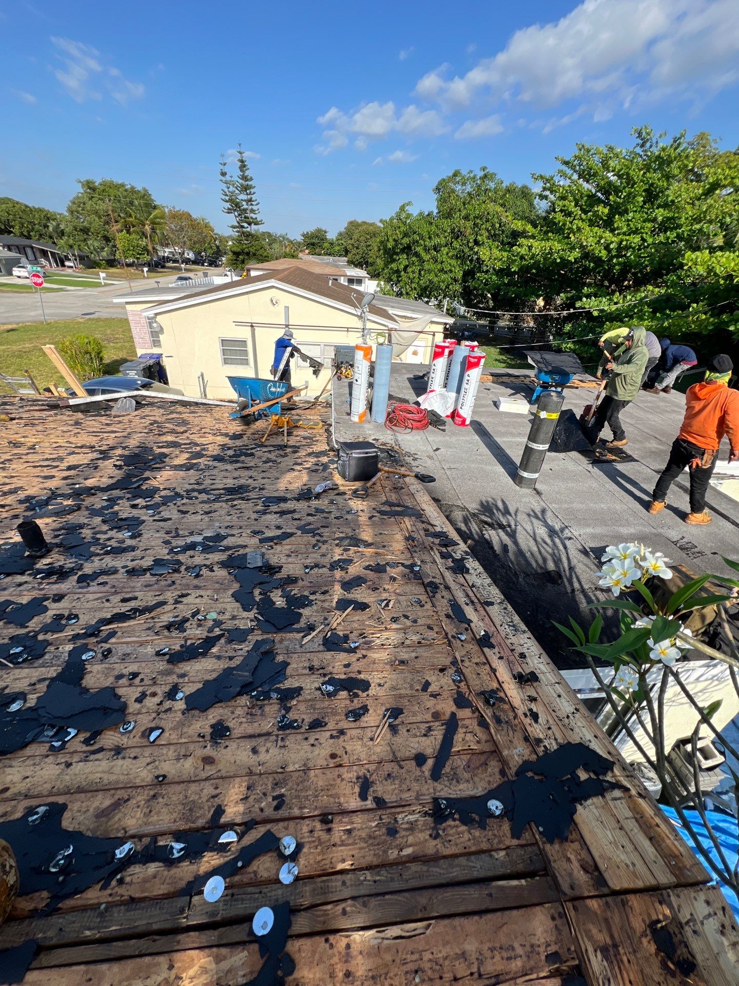 Beautiful Blue Shingle Re-Roof in Hollywood! by First Due Roofing
