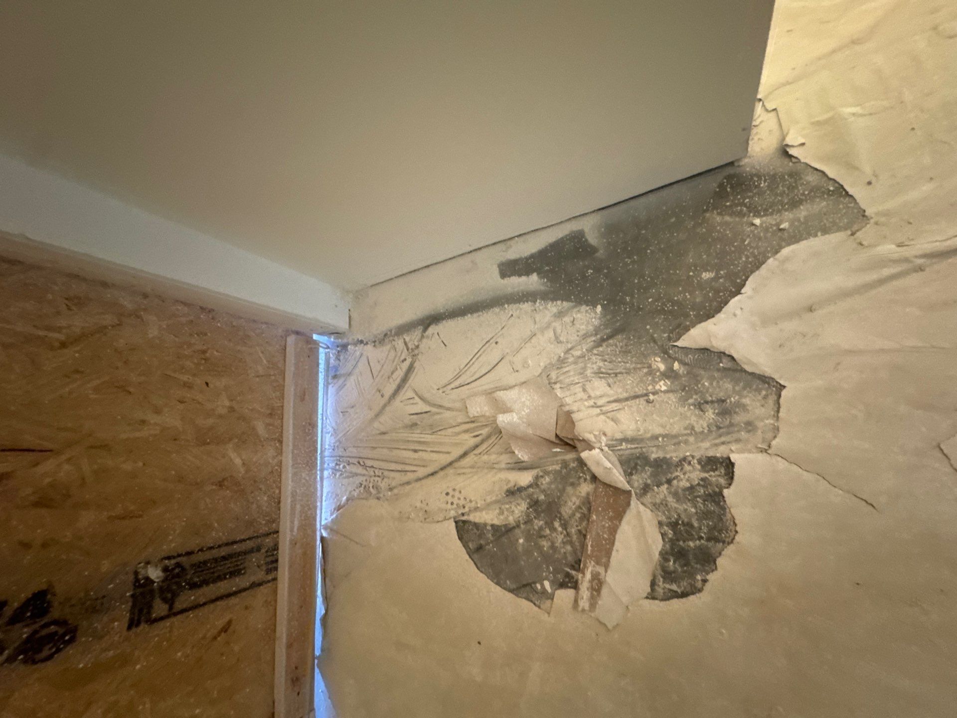 New Build Residential Interior Prime and Paint by Midwest Paint LLC