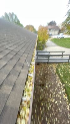 Gutter Protection for Elk Grove Village Homes