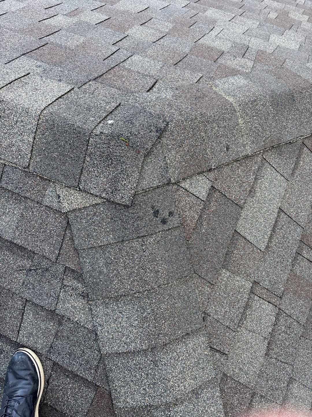 Residential Reroof Shingle - Canadian Driftwood by Top Notch Roofing Inc