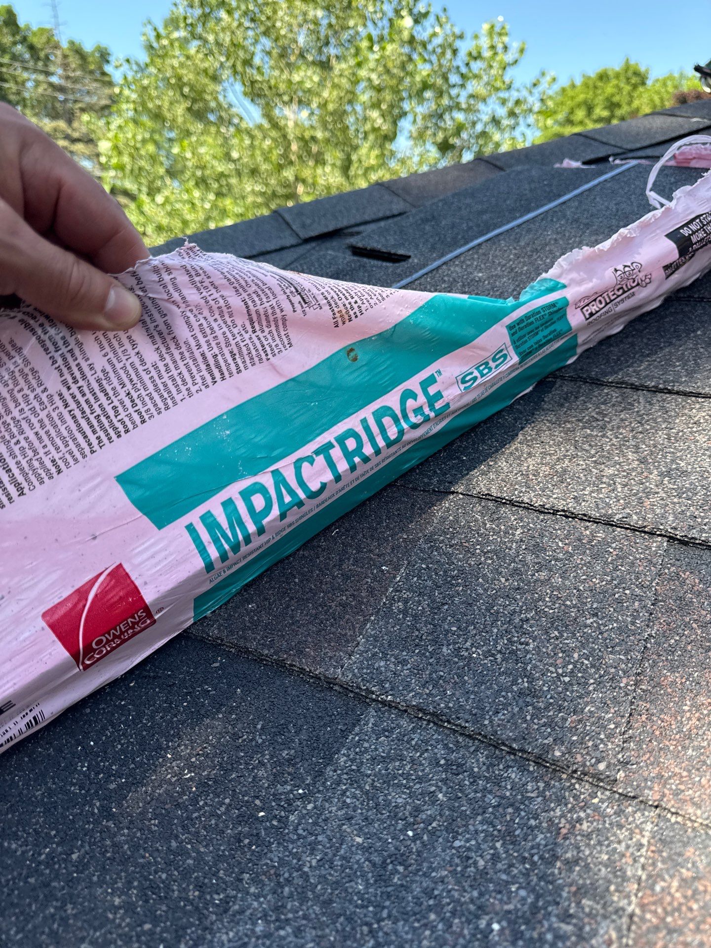 OC FLEX - BLACK SABLE by Forever Fortified