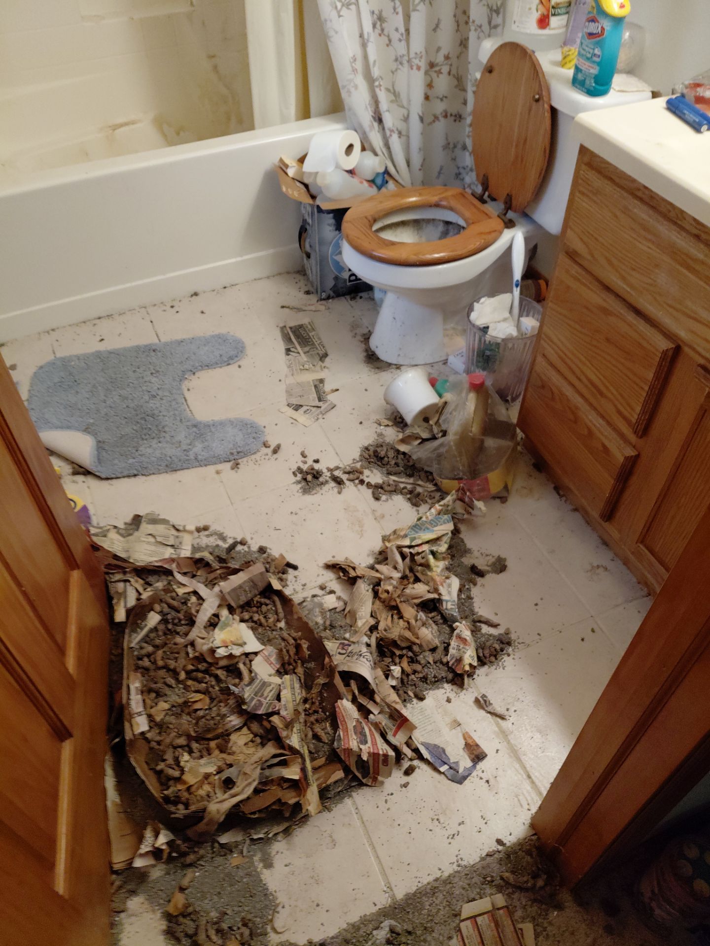 Clutter Removal by Bio-One of South Dakota