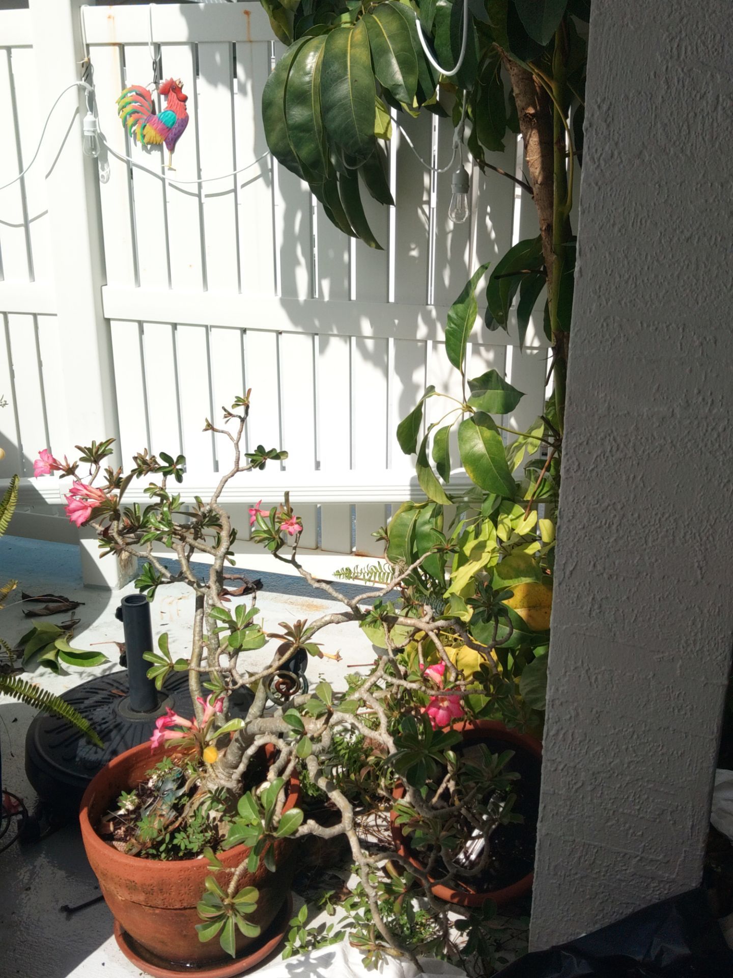 Fort Myers FL Soffit and Fascia Replacement  by Gutter Professors