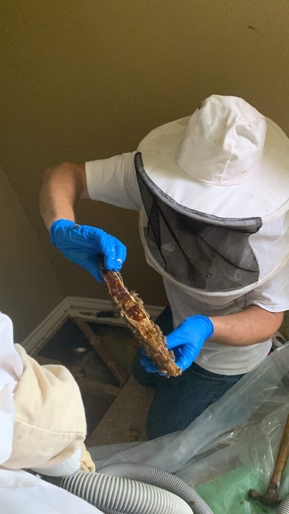 Beekeepers-to-be by Rockwall Honey Bee Company