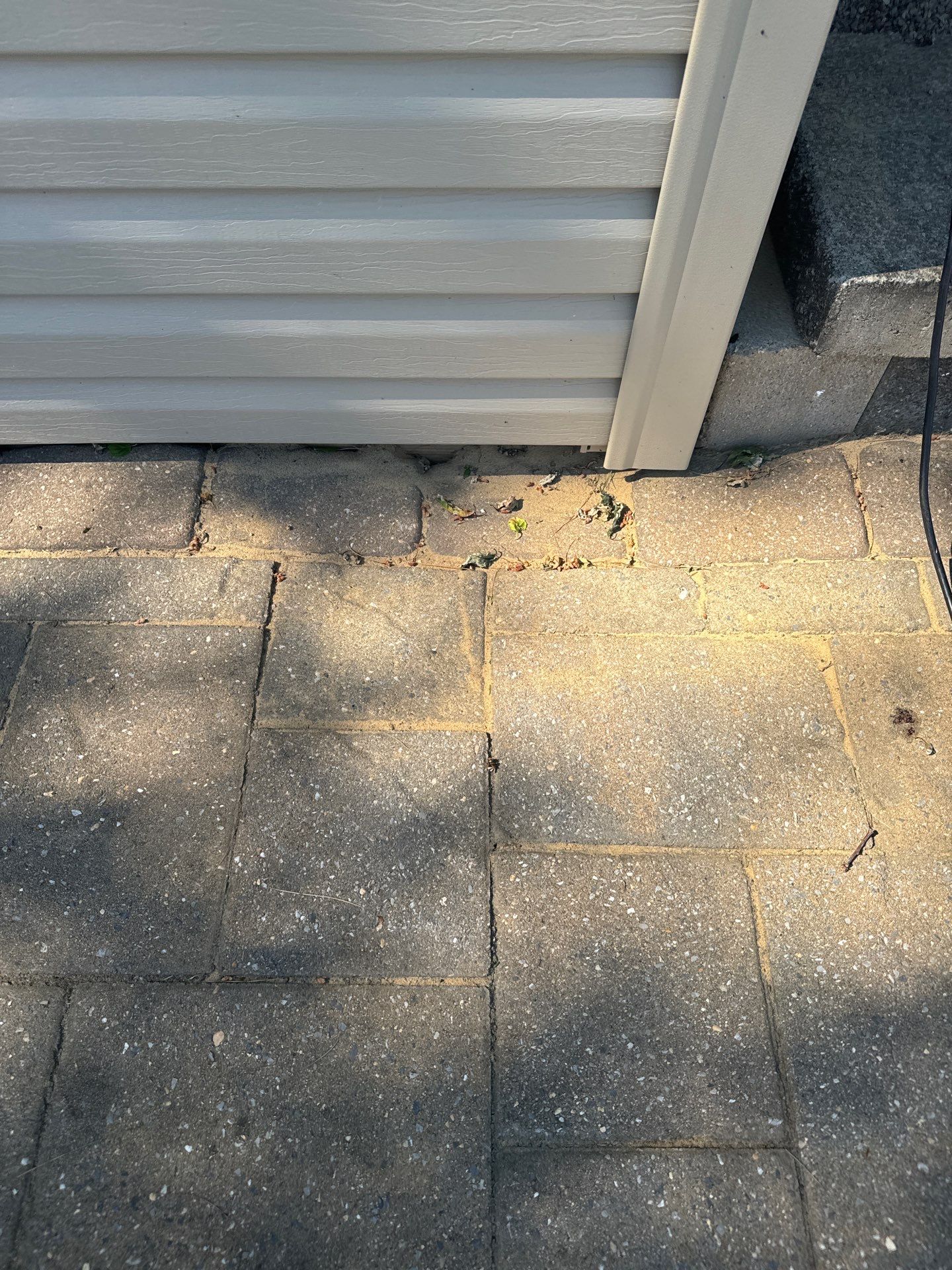 Shoreline Garage Project in Wexford by Floors in a Day, Inc