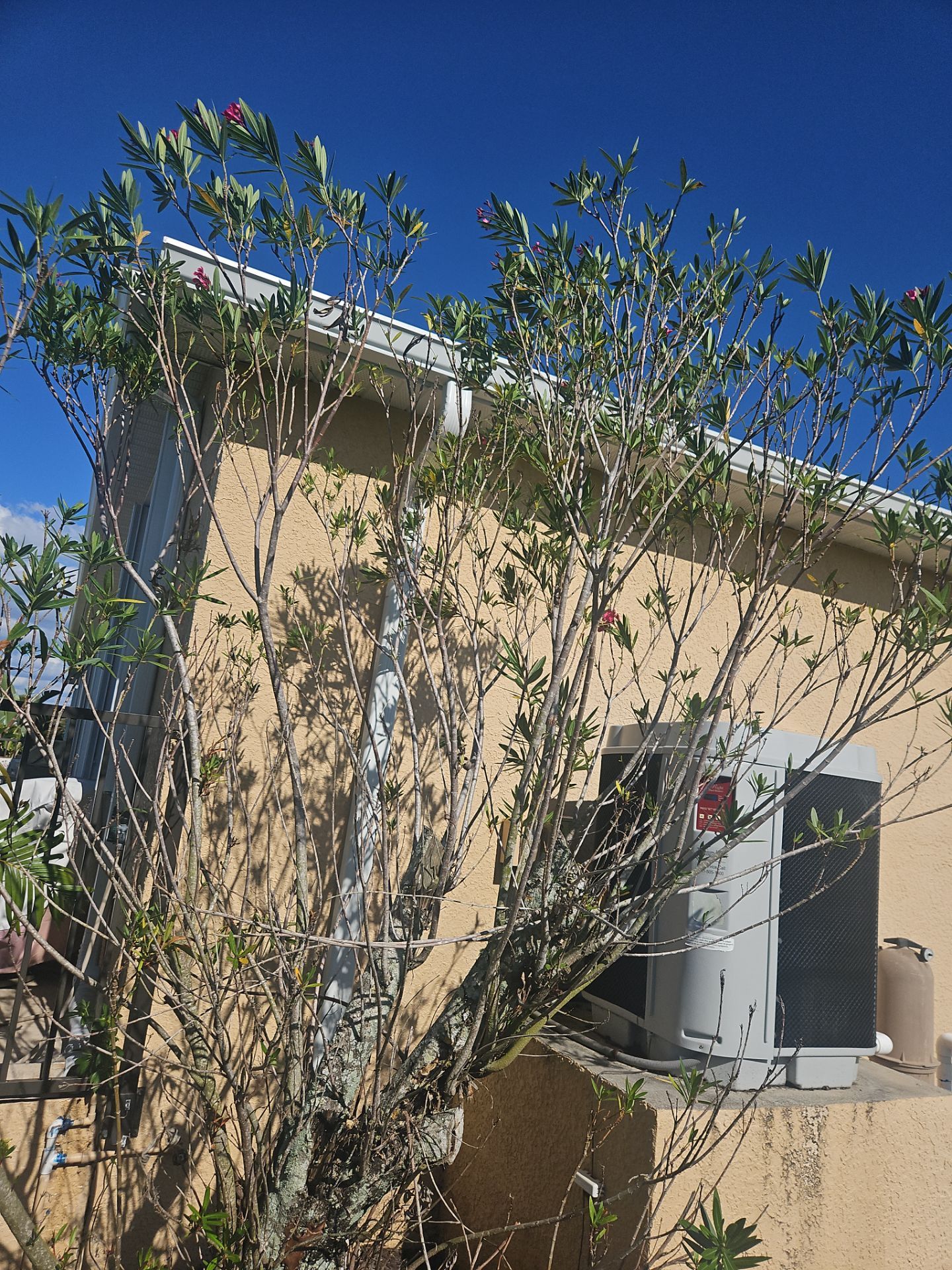 White 6 Inch Seamless Gutters using K-Style Seamless Gutters in Punta Gorda FL by Gutter Professors
