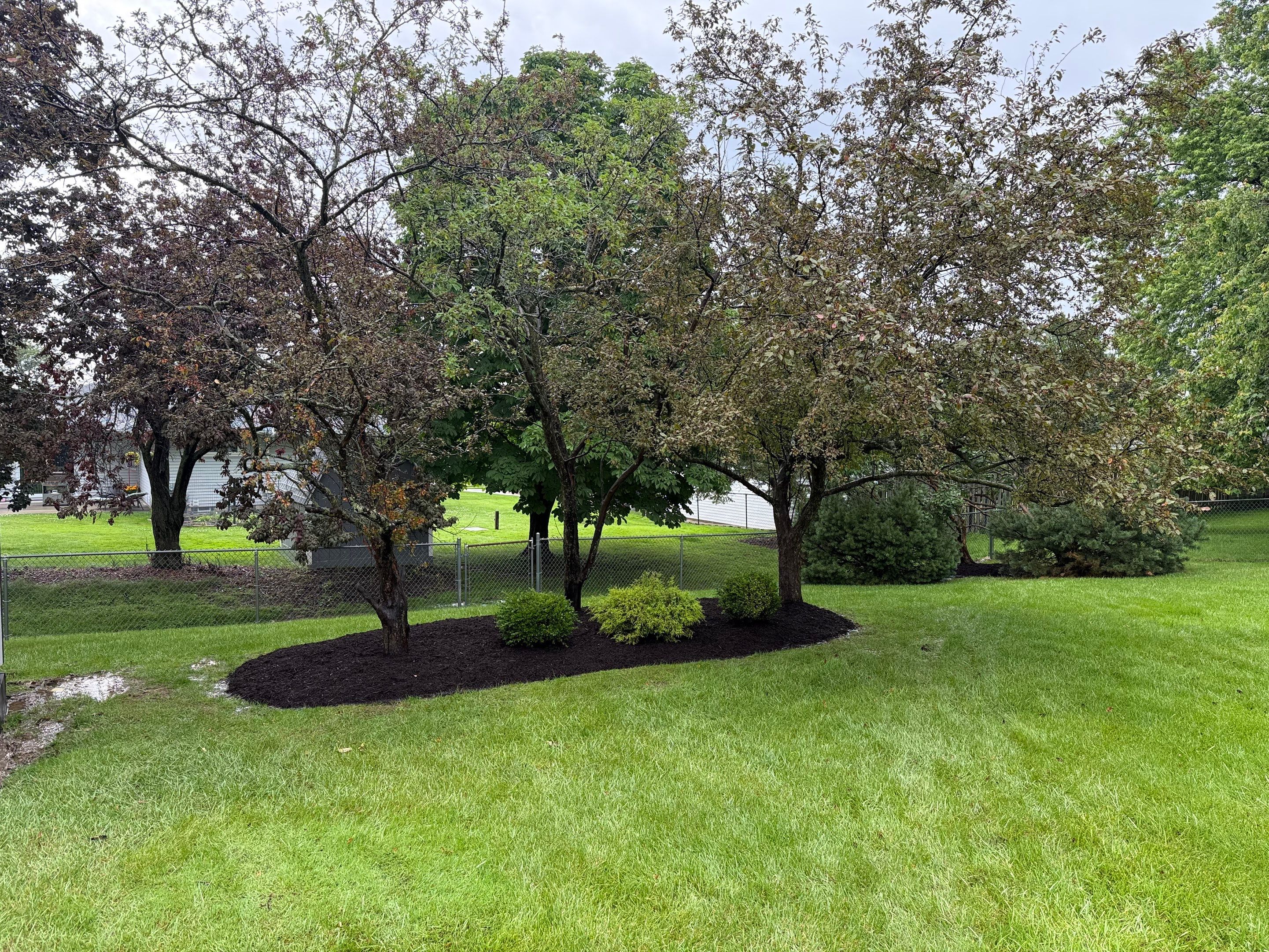 Traditional Rent Ready Project by Elm Rose Gardens