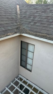 Lake Forest Gutter Cleaning - Pine Needles Cleared after 10 plus years!