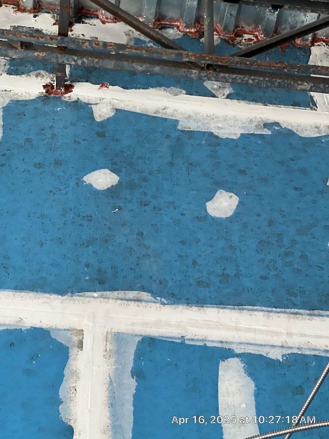 Parrish Mold Removal & Remediation  by Ampm Restoration Services 