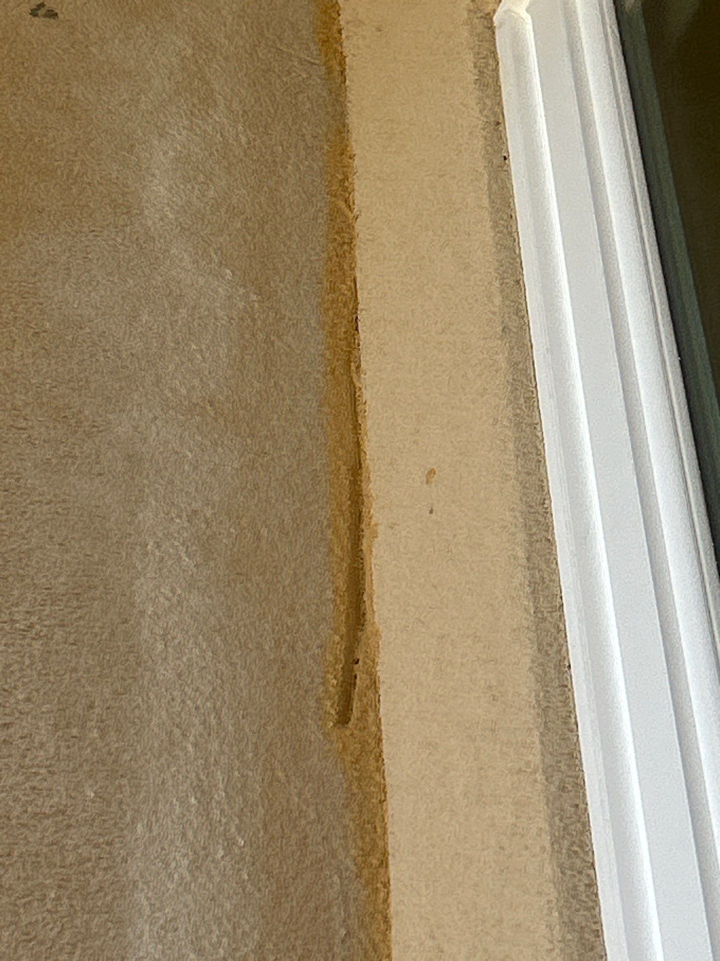 Stucco Problems in Paradise  by Bayfront Roofing and Construction