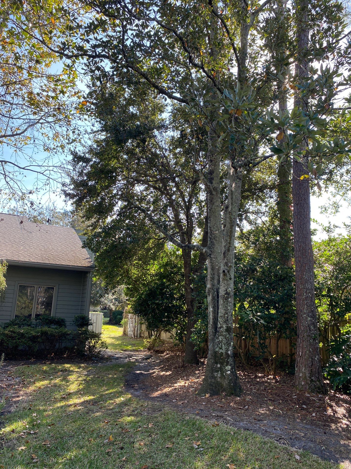Deerwood Resident | Tree Trimming & Removal by ProGreen Services