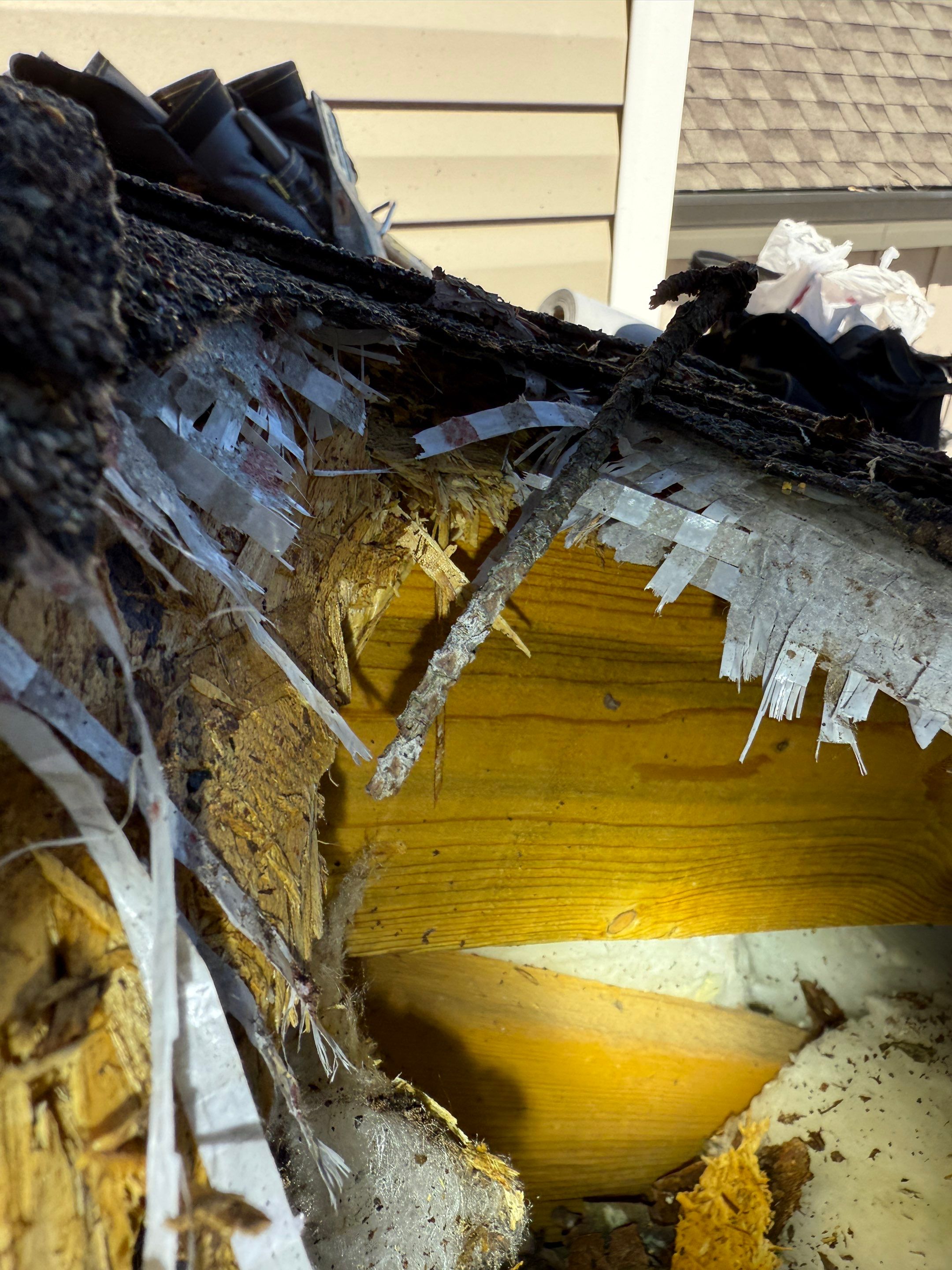 Emergency Roof Tarping ⛑️🏠 by Georgia Roof Advisors