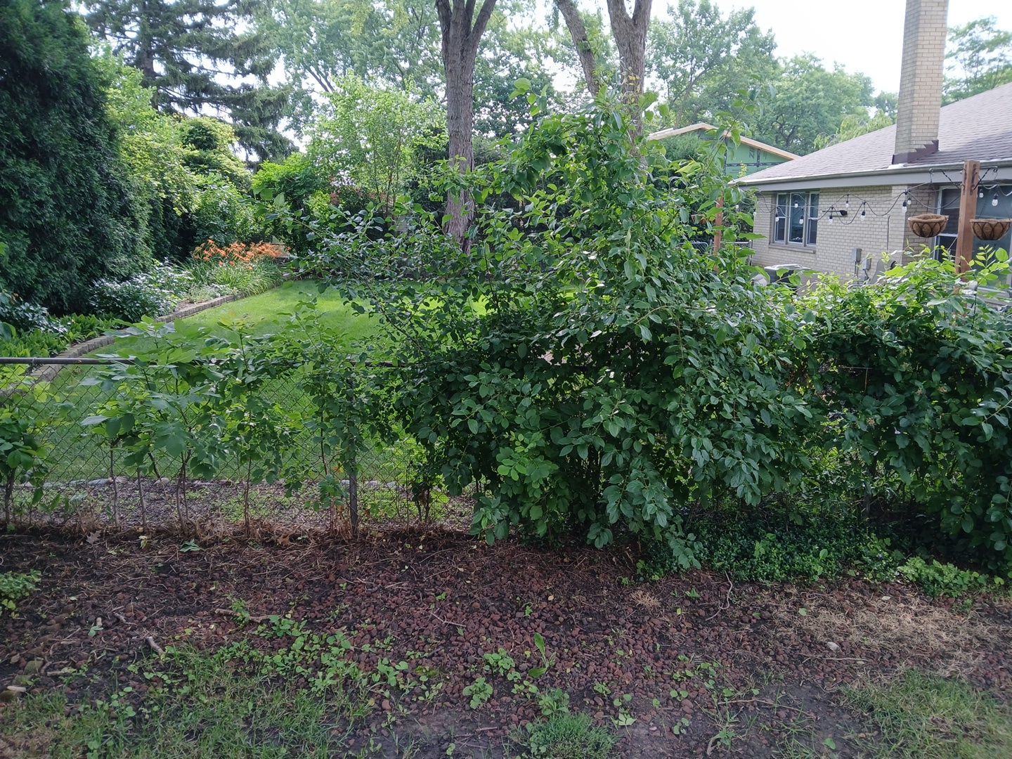 Andrew L. - Arlington Heights, IL by A&N