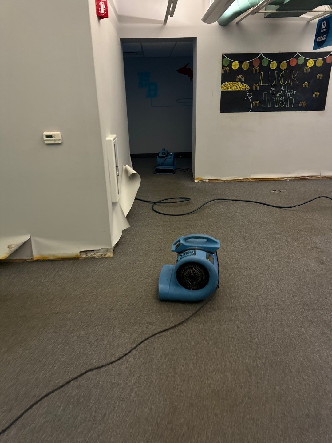 Project in Warren by EzDry Water Mitigation & Property Restoration