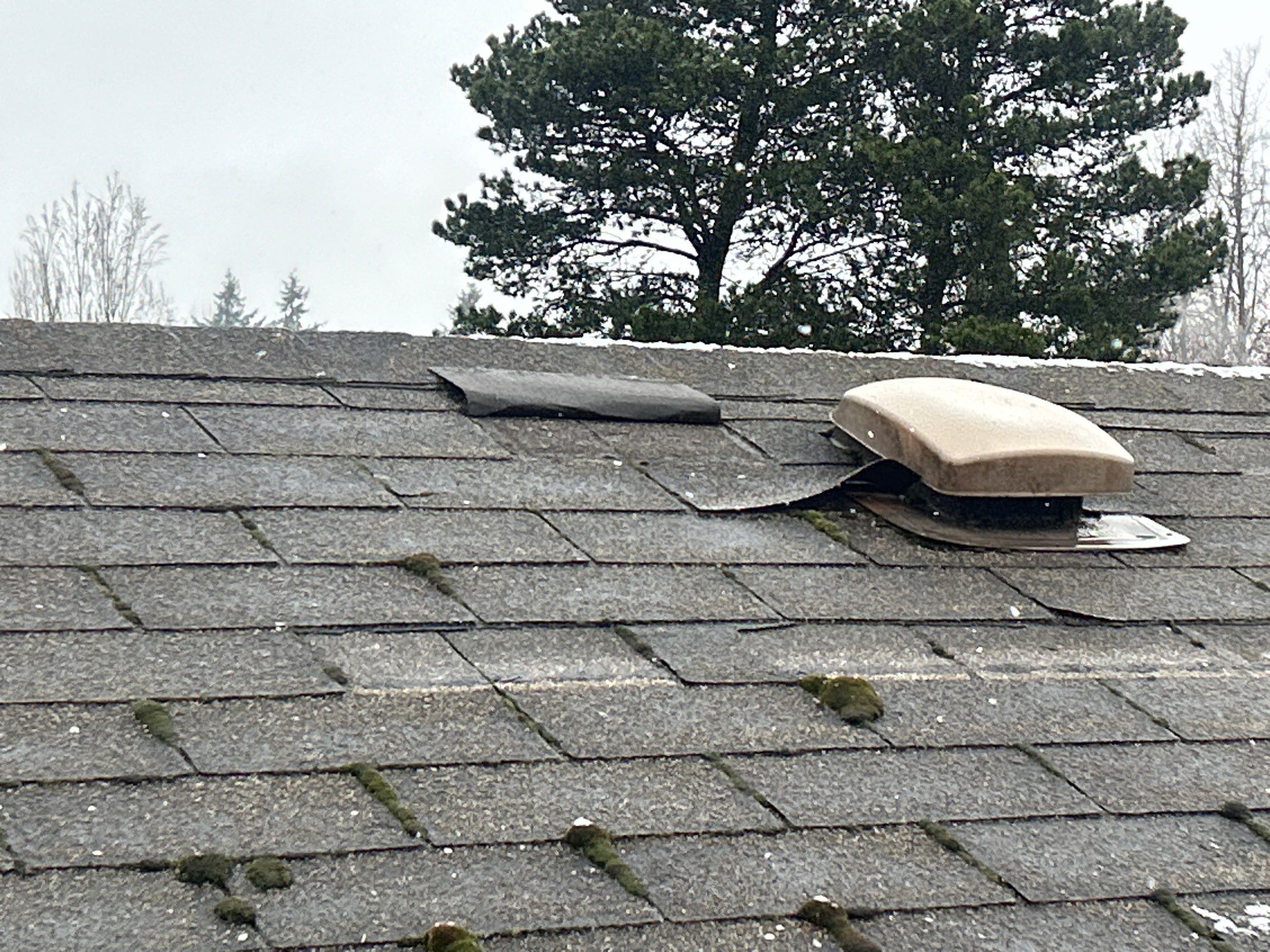 Roof in Lake Stevens by Connolly Construction Company