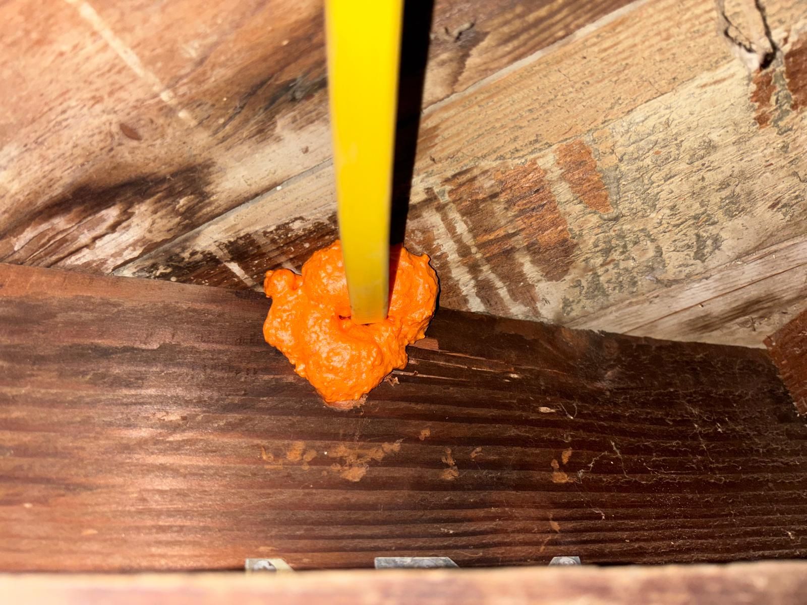 Project in Pasadena by Insulation Labs