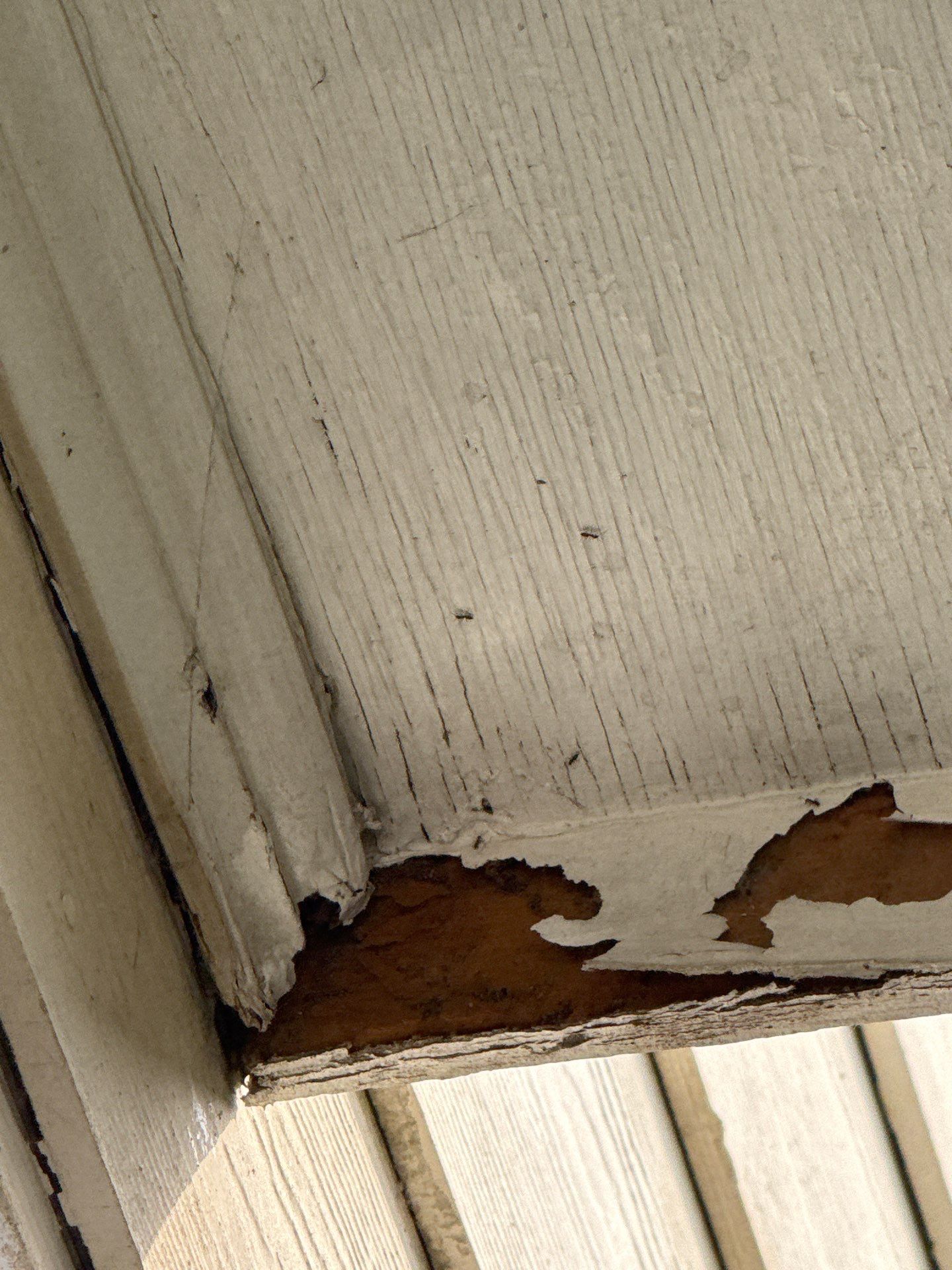 Comprehensive Siding and Wood Rot Repair in Fayetteville- with Interior Remodel by Karcher Roofing & Construction
