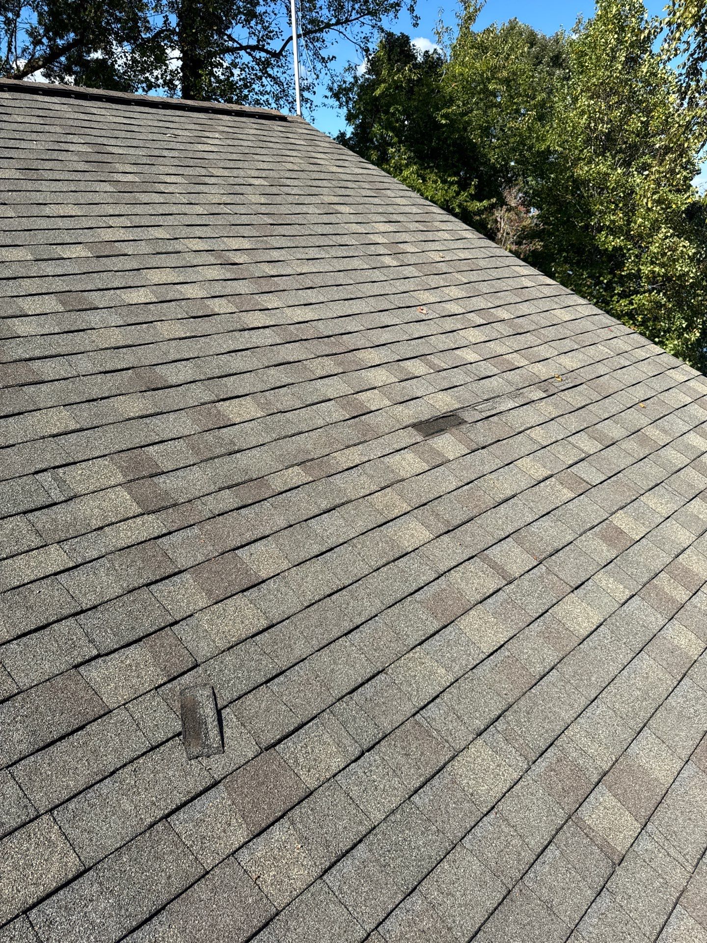 Christine Comer by United Contracting and Roofing
