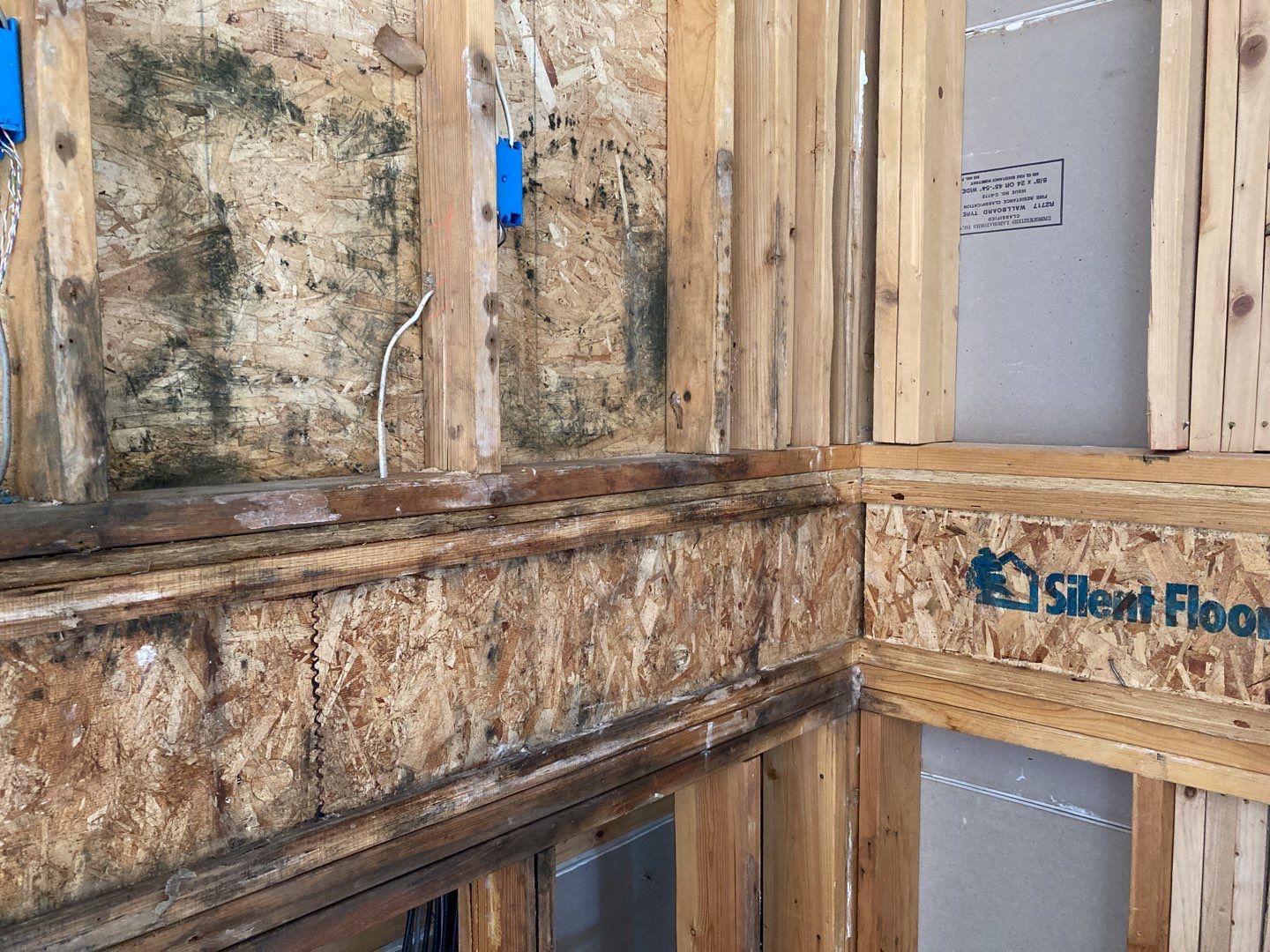 Mold Remediation using Containment by Accountable Home Services