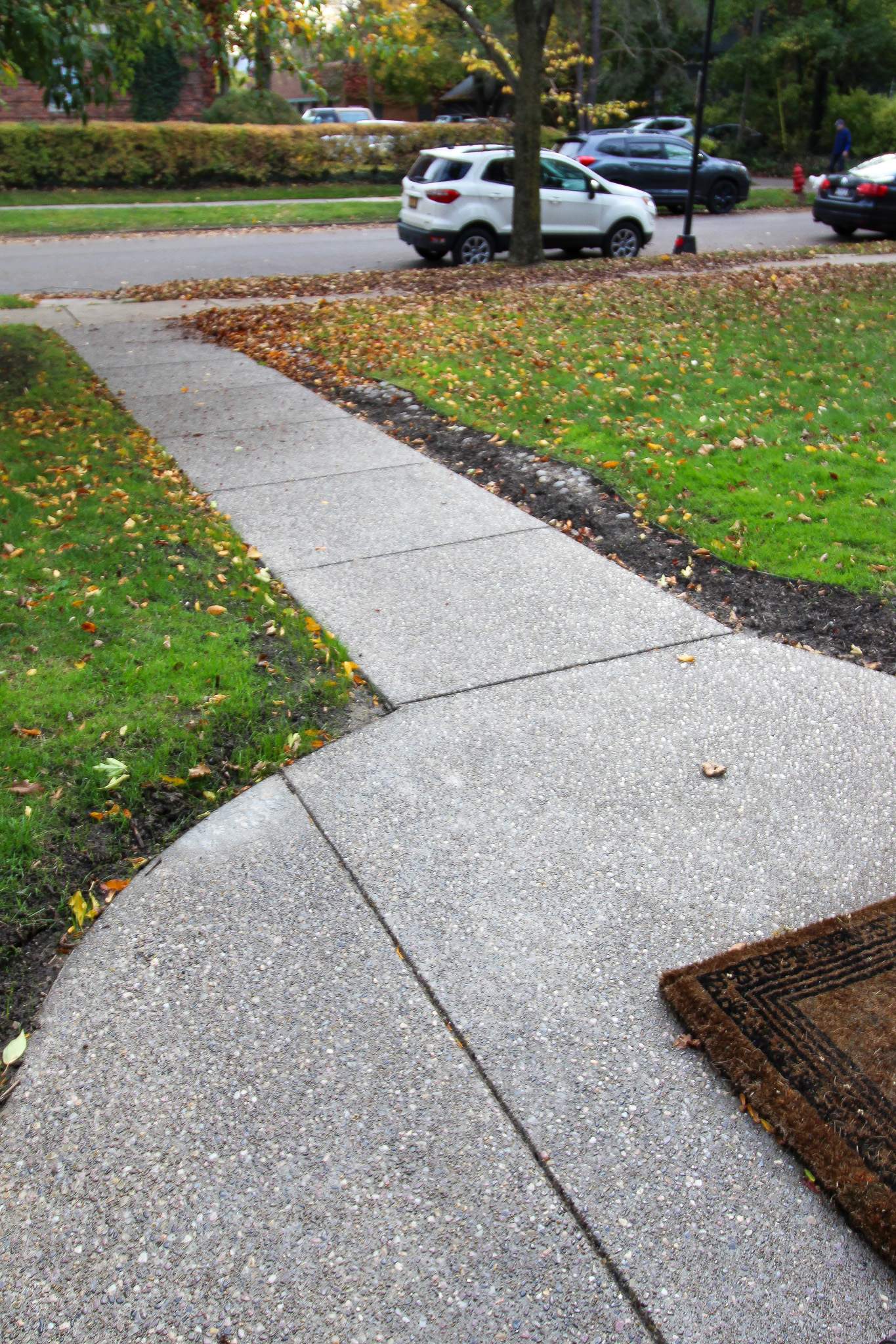 Concrete by Ivy Lea Construction