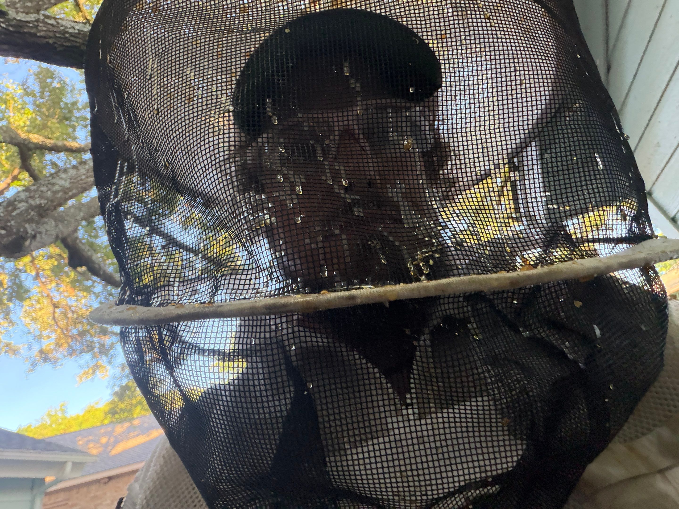 High Peak Bees by Rockwall Honey Bee Company