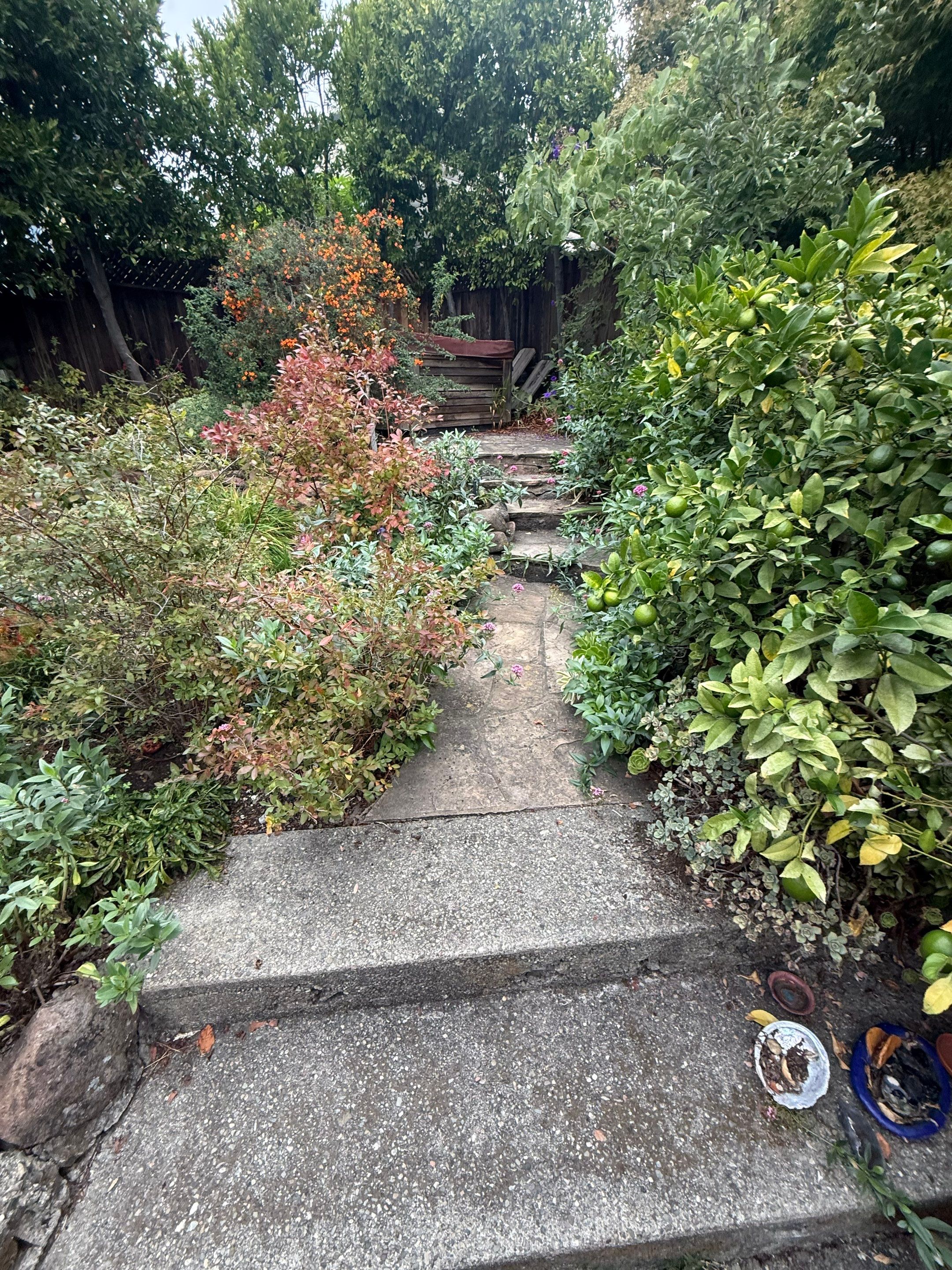 Full back garden refresh by SpotFree Window Cleaning