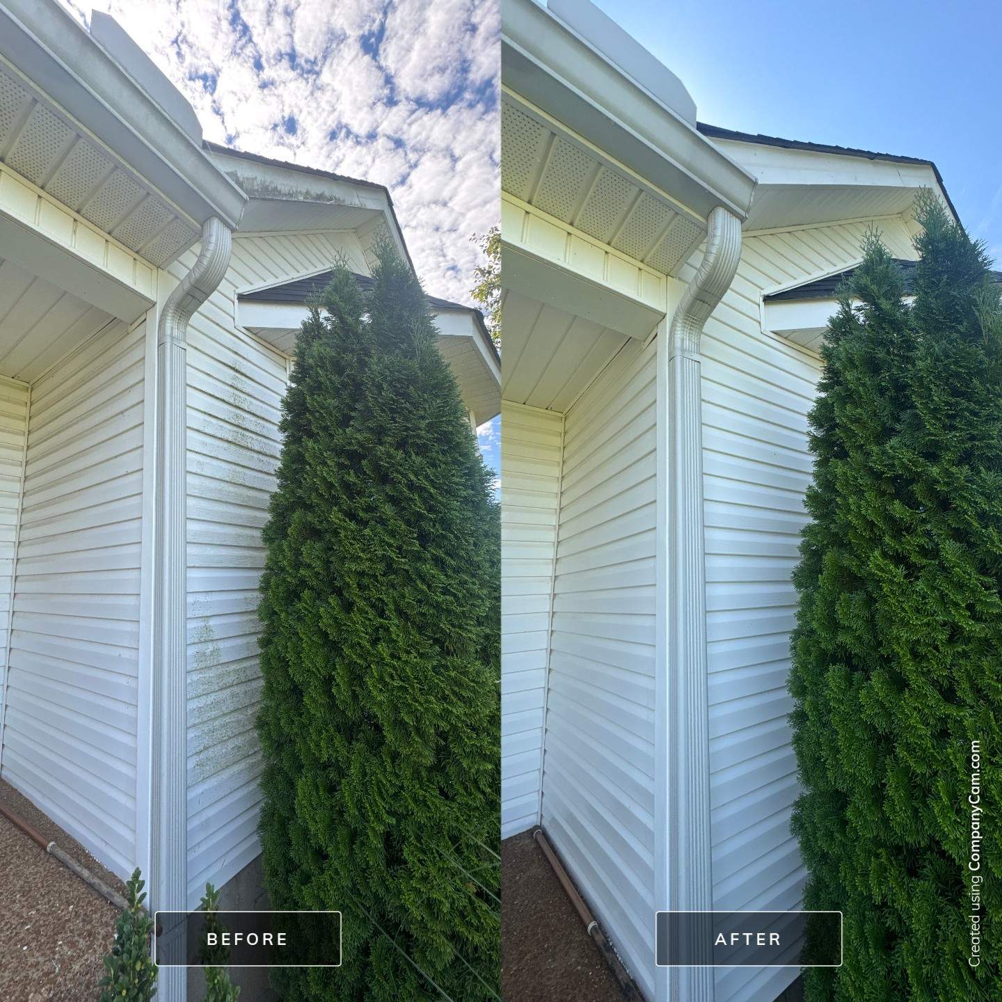 Terry's House by Mr. Mister Power Washing