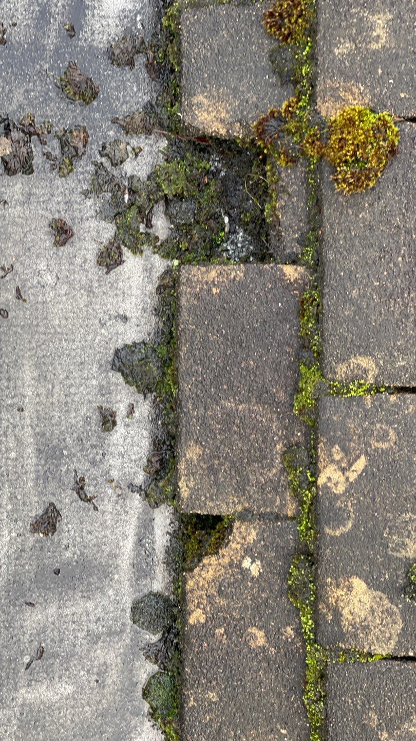 Roof Clean - Biocide Treatment using Honda 15lpm Low Pressure Washing Machine by Ges Exterior Cleaning ltd
